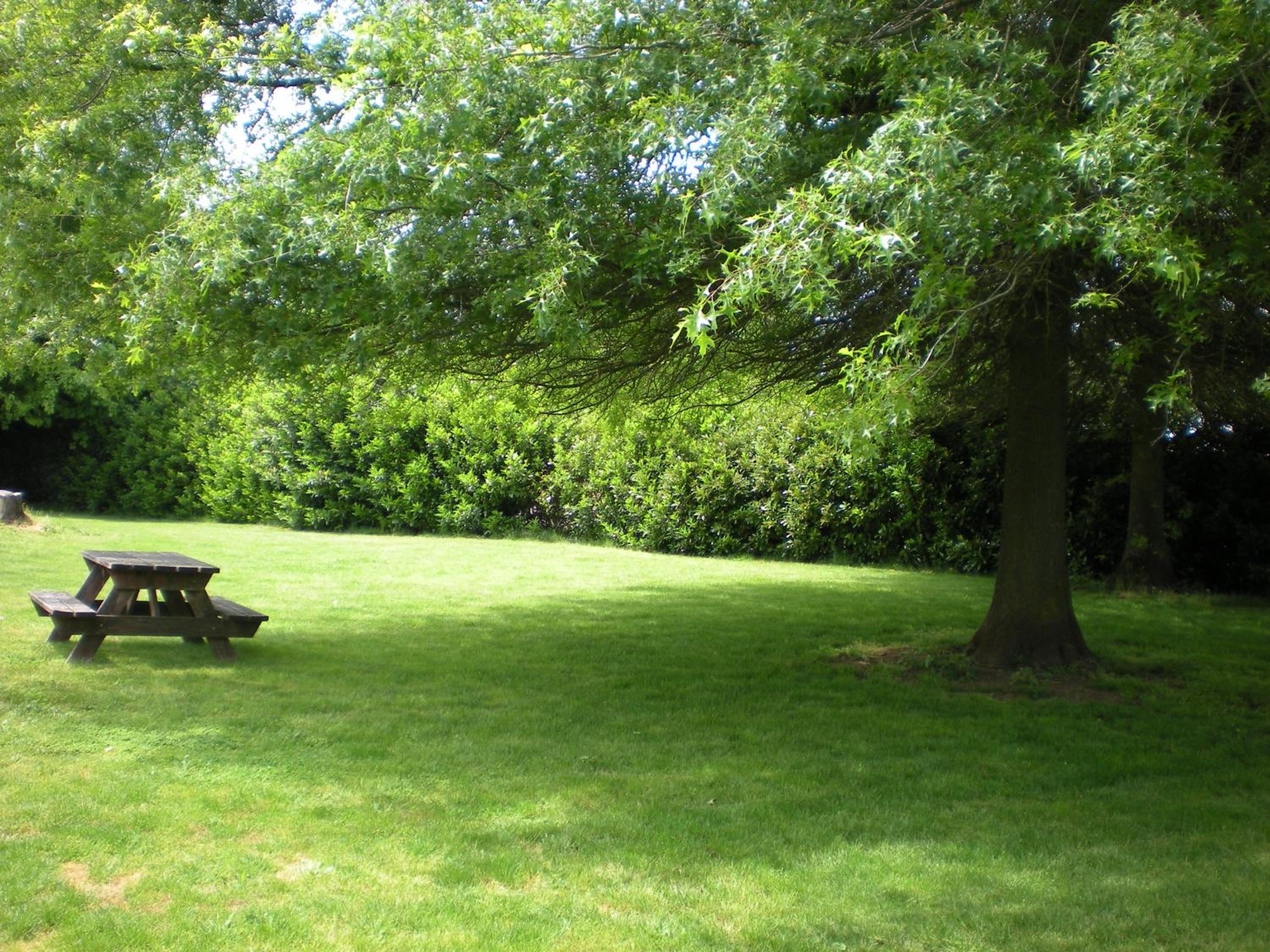 Albany Vacations - Super 8 by Wyndham Albany - Property Image 3