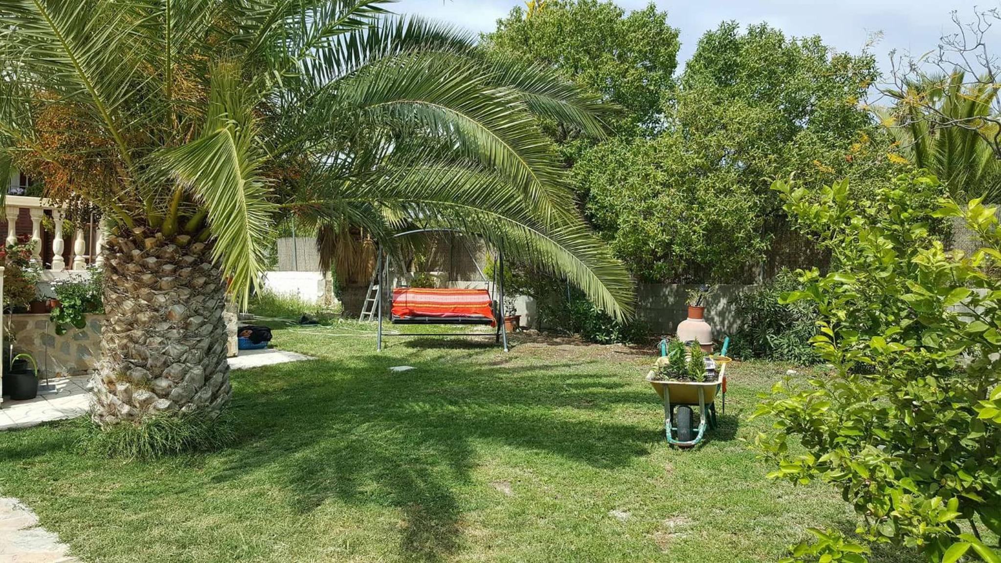 Photo 19
