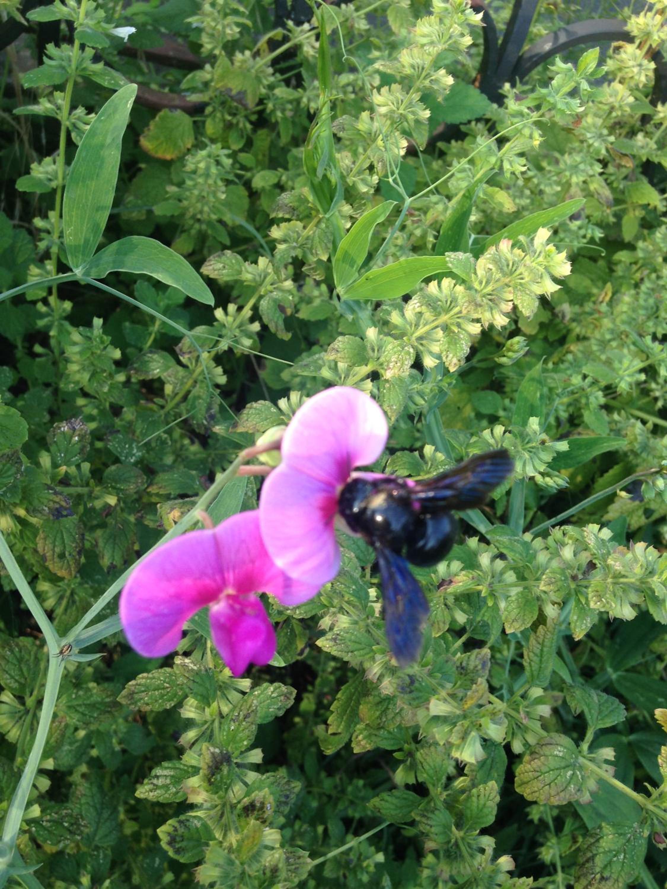 Photo 20