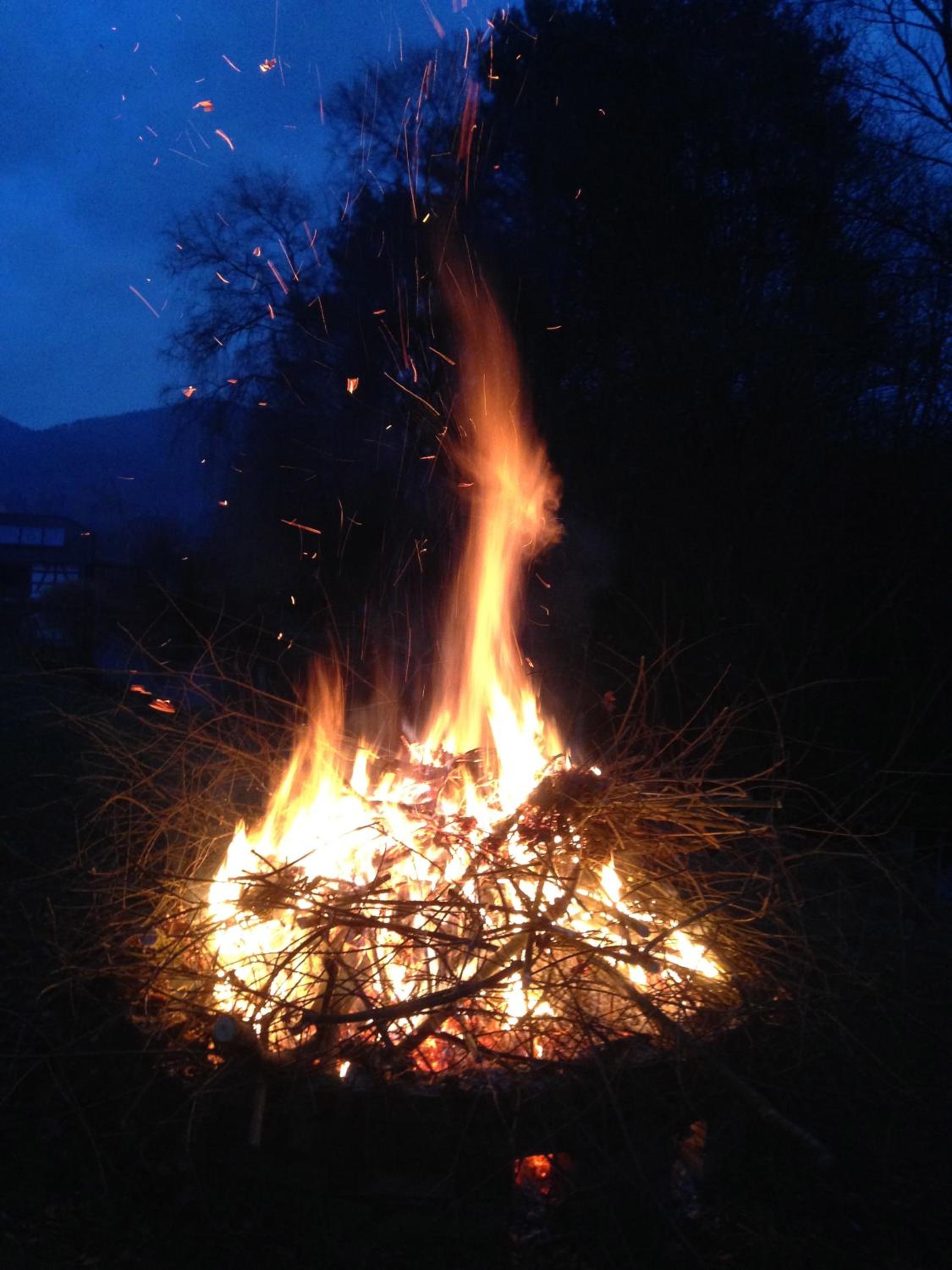 Photo 15
