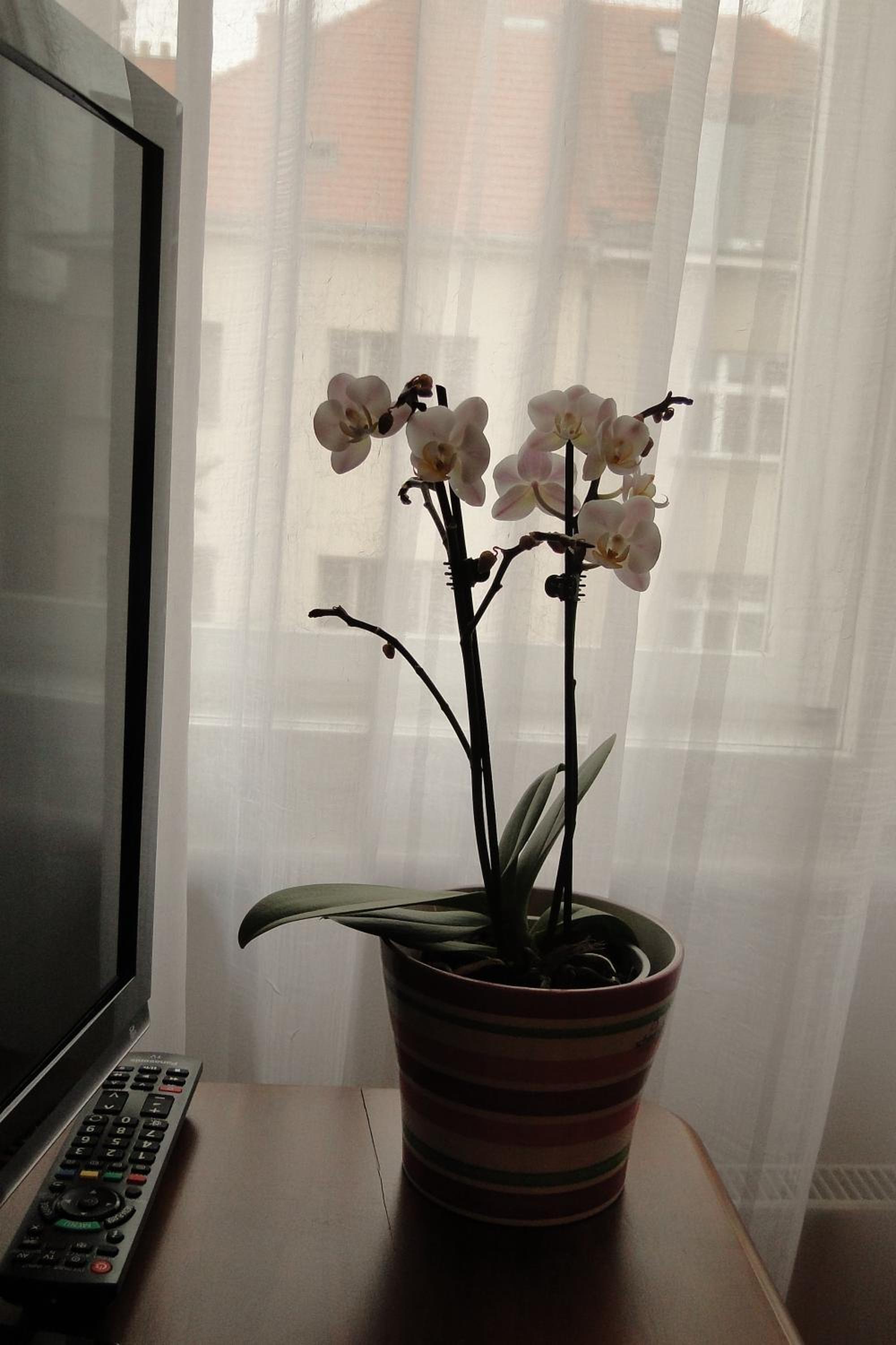 Photo 24