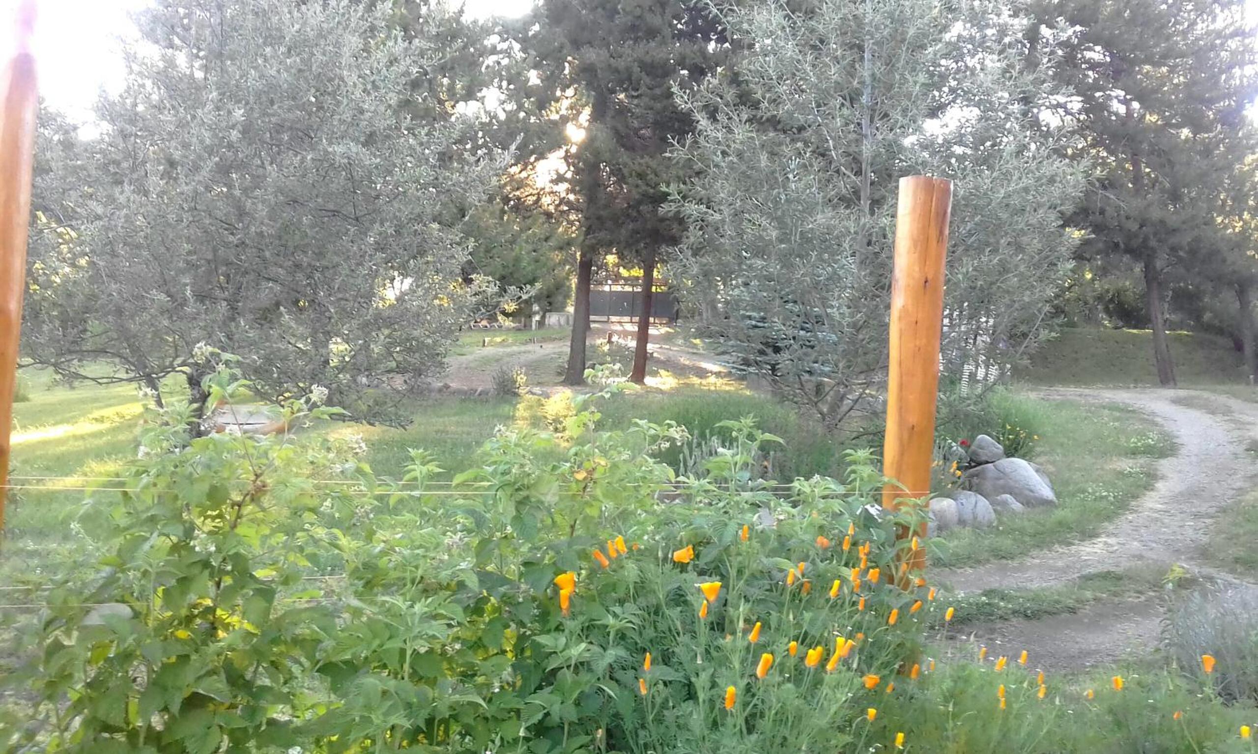 Cabañas El Refugio de Puelo
