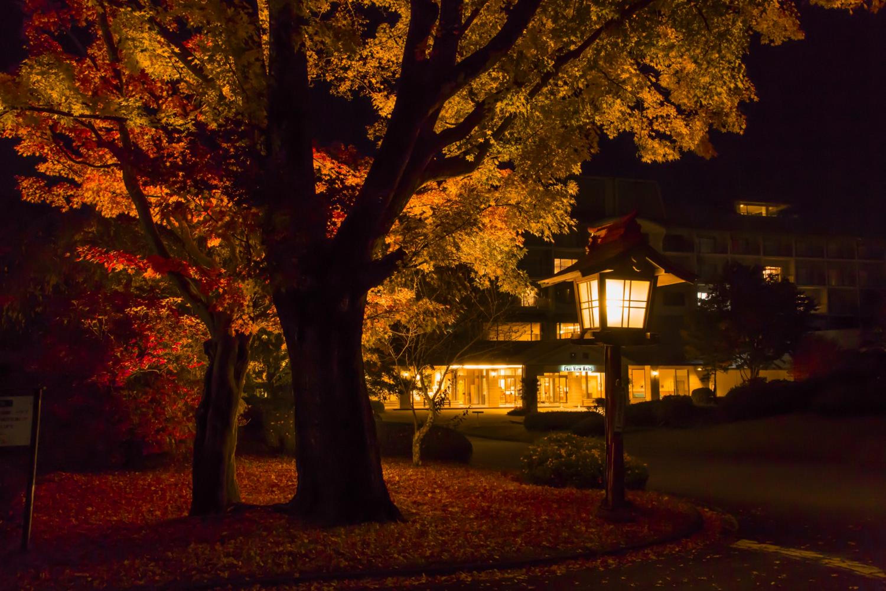 Fuji View Hotel