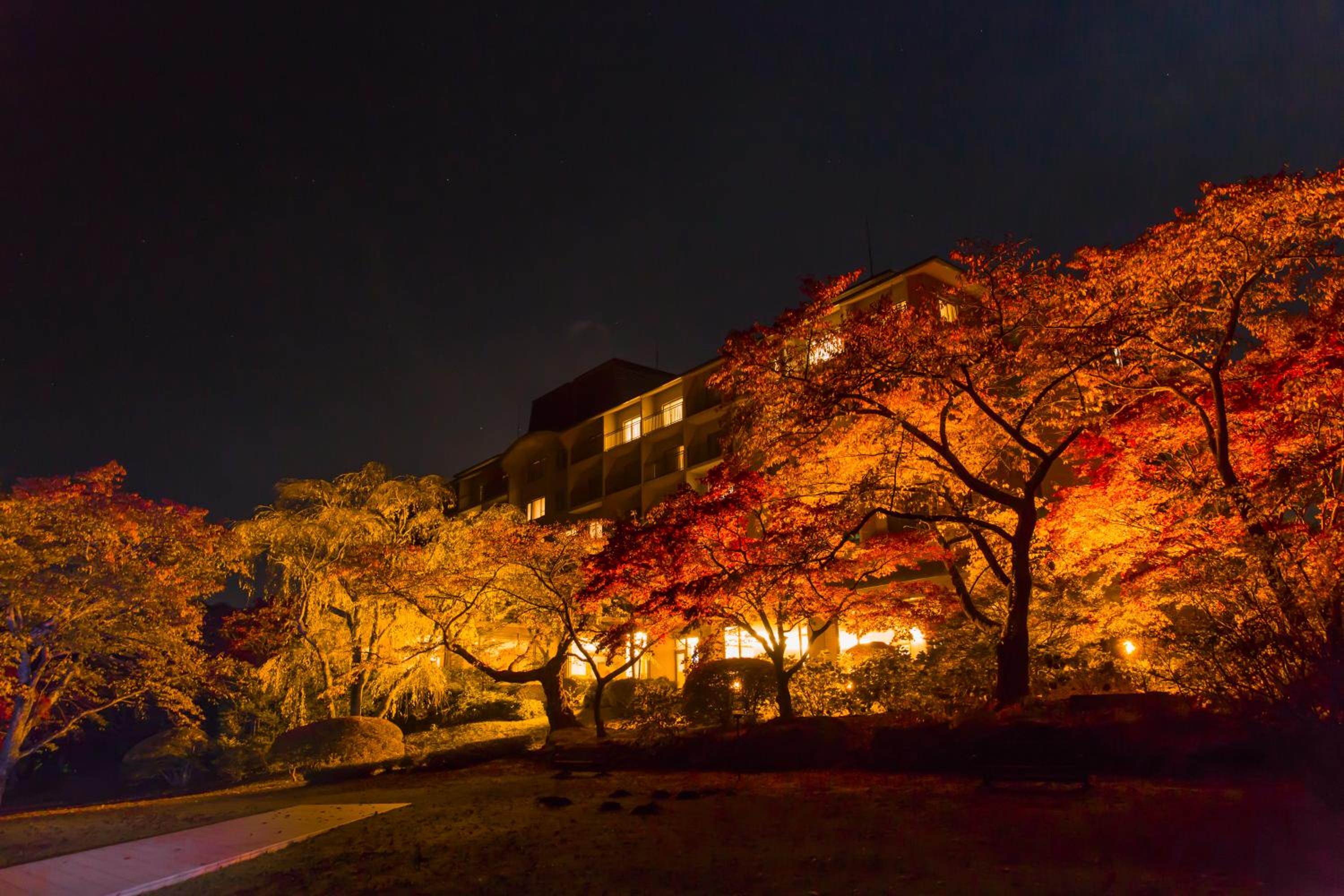 Fuji View Hotel