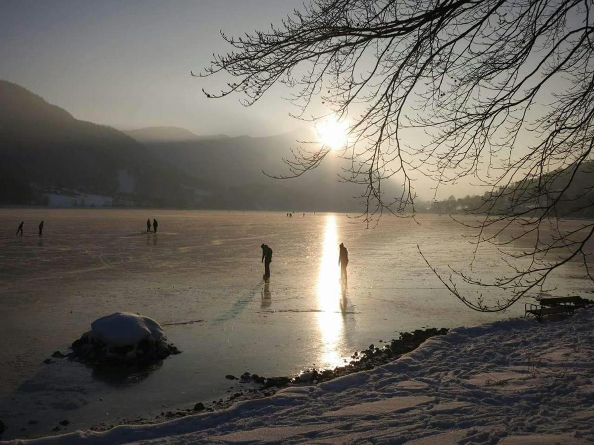 Photo 40