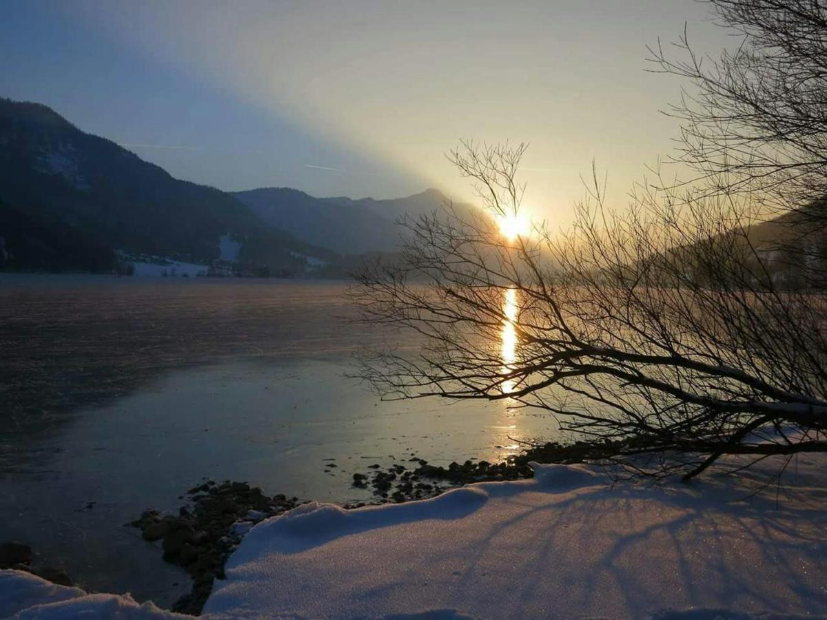 Photo 49