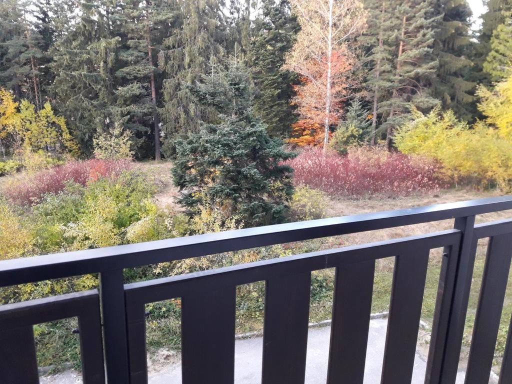 Photo 22