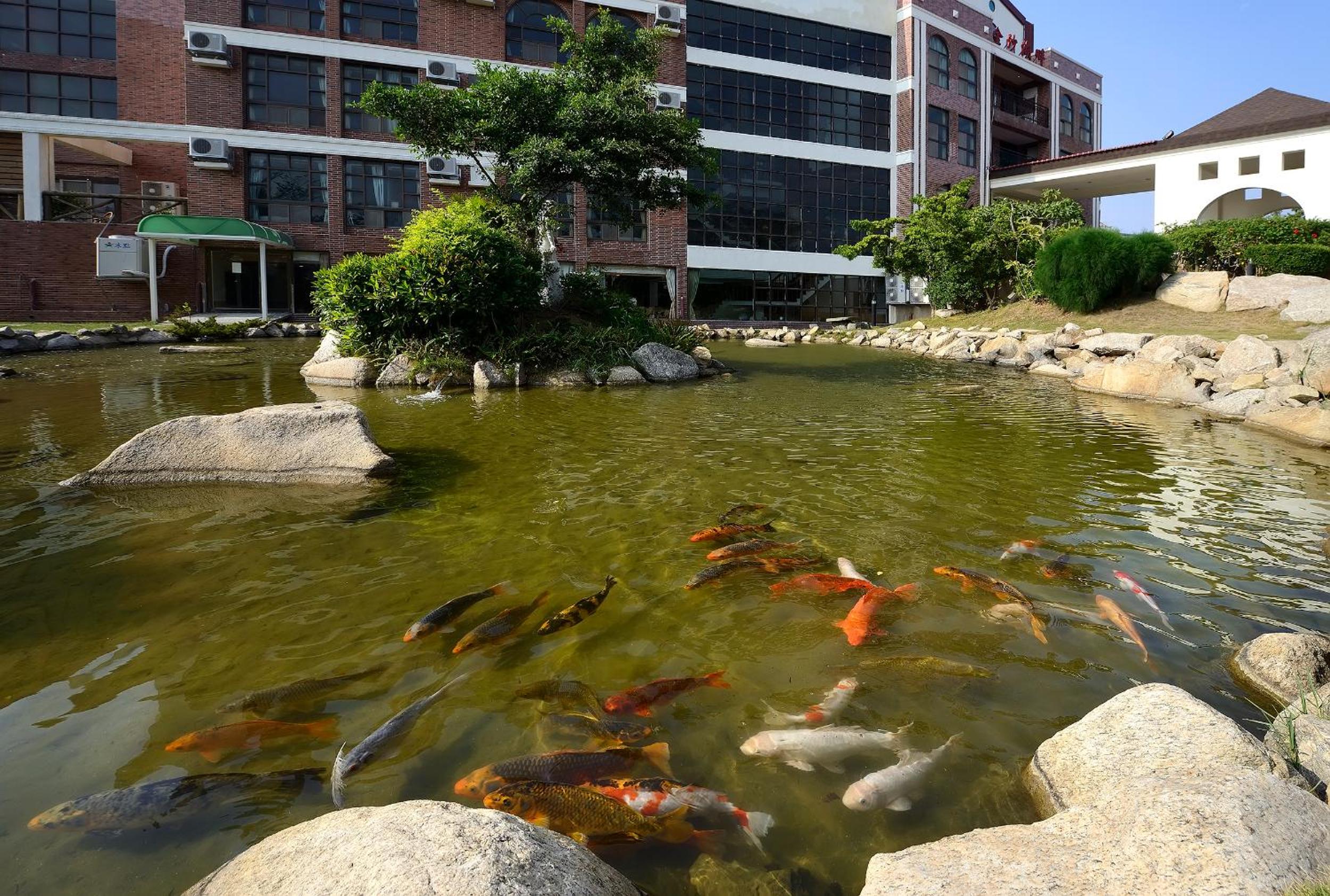 Jinsa Lakeside View Resort