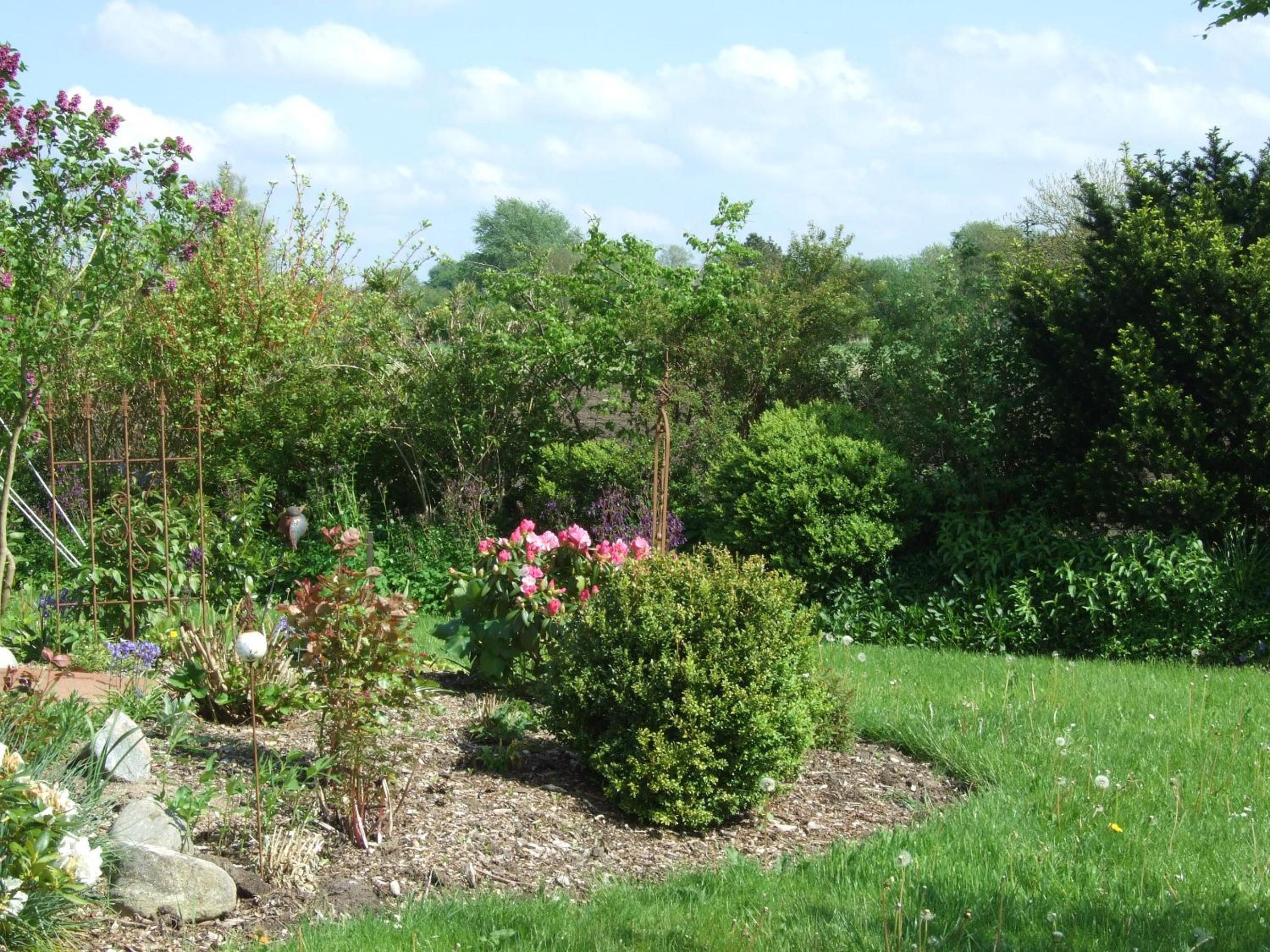 Photo 25