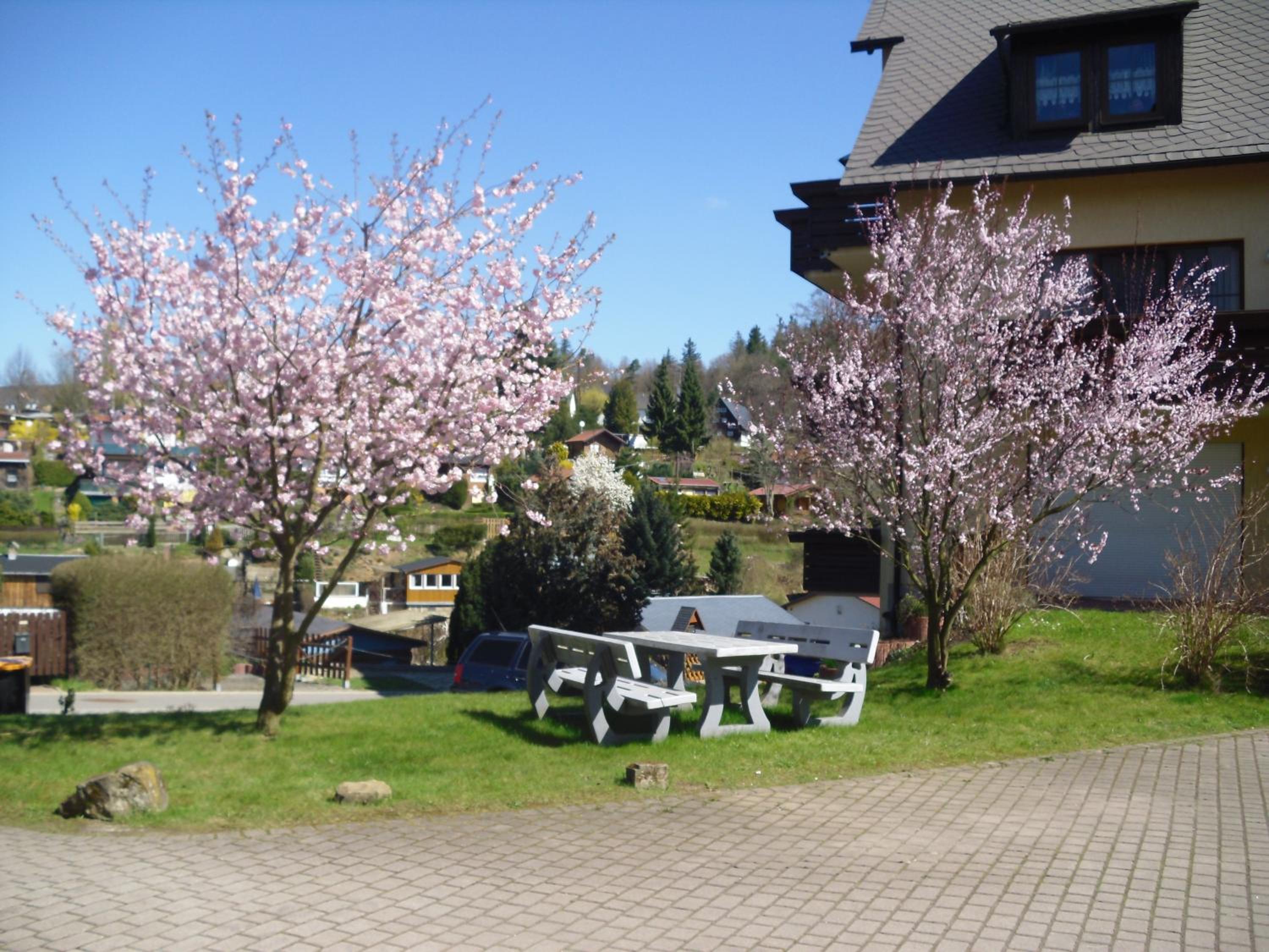 Ferienwohnung Rothe