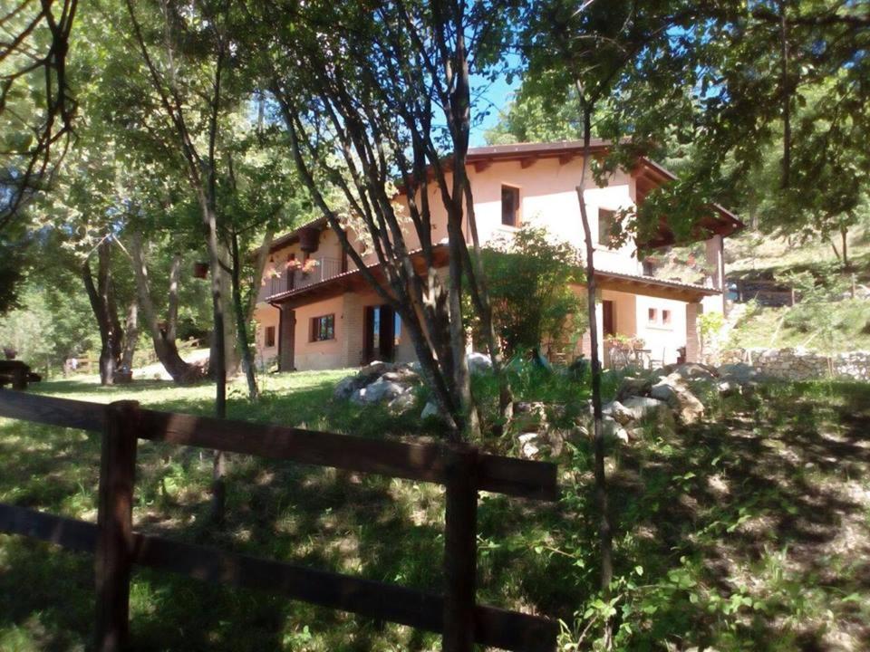Photo 52