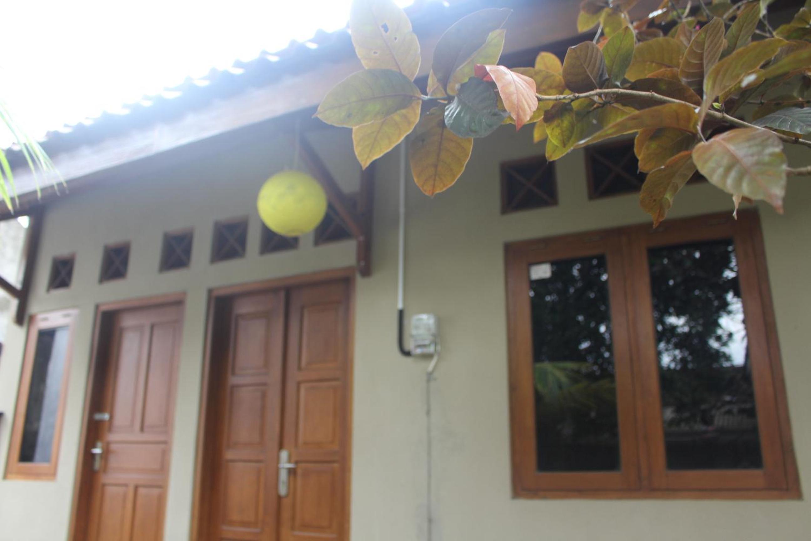 Photo 17