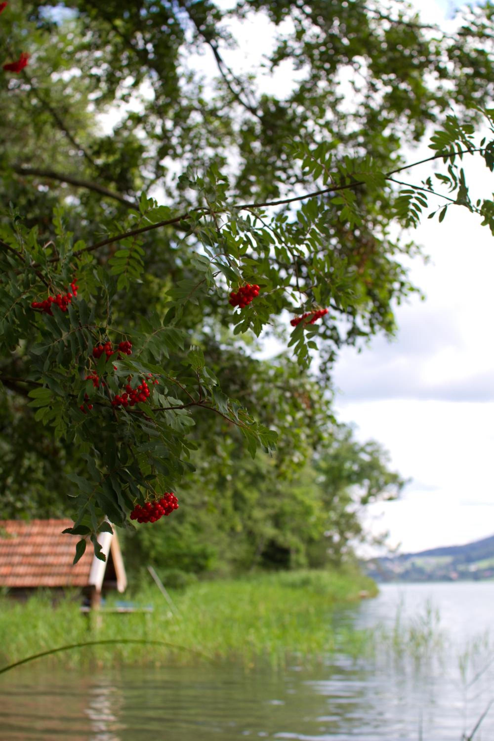 Serner am See