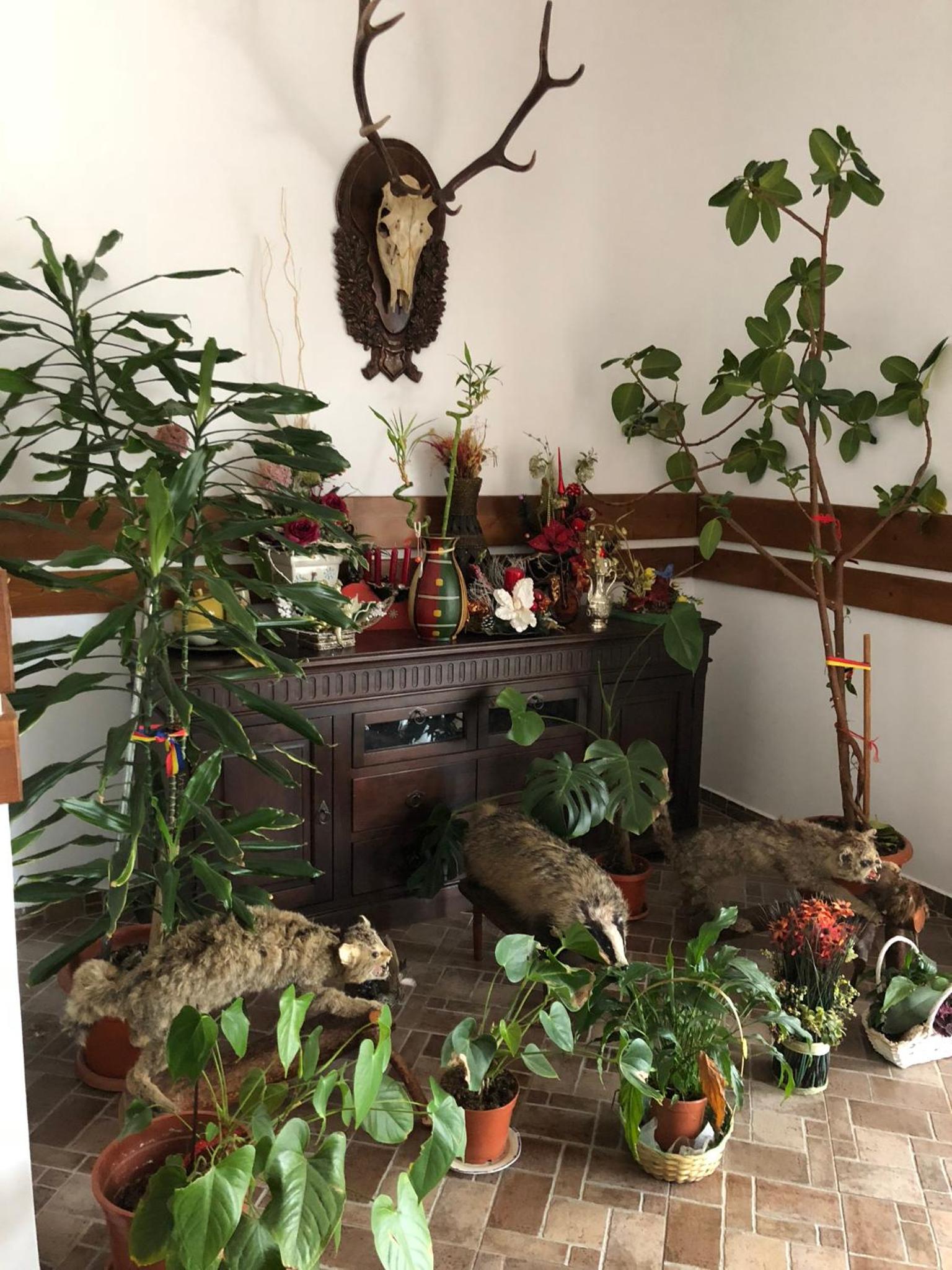 Photo 27