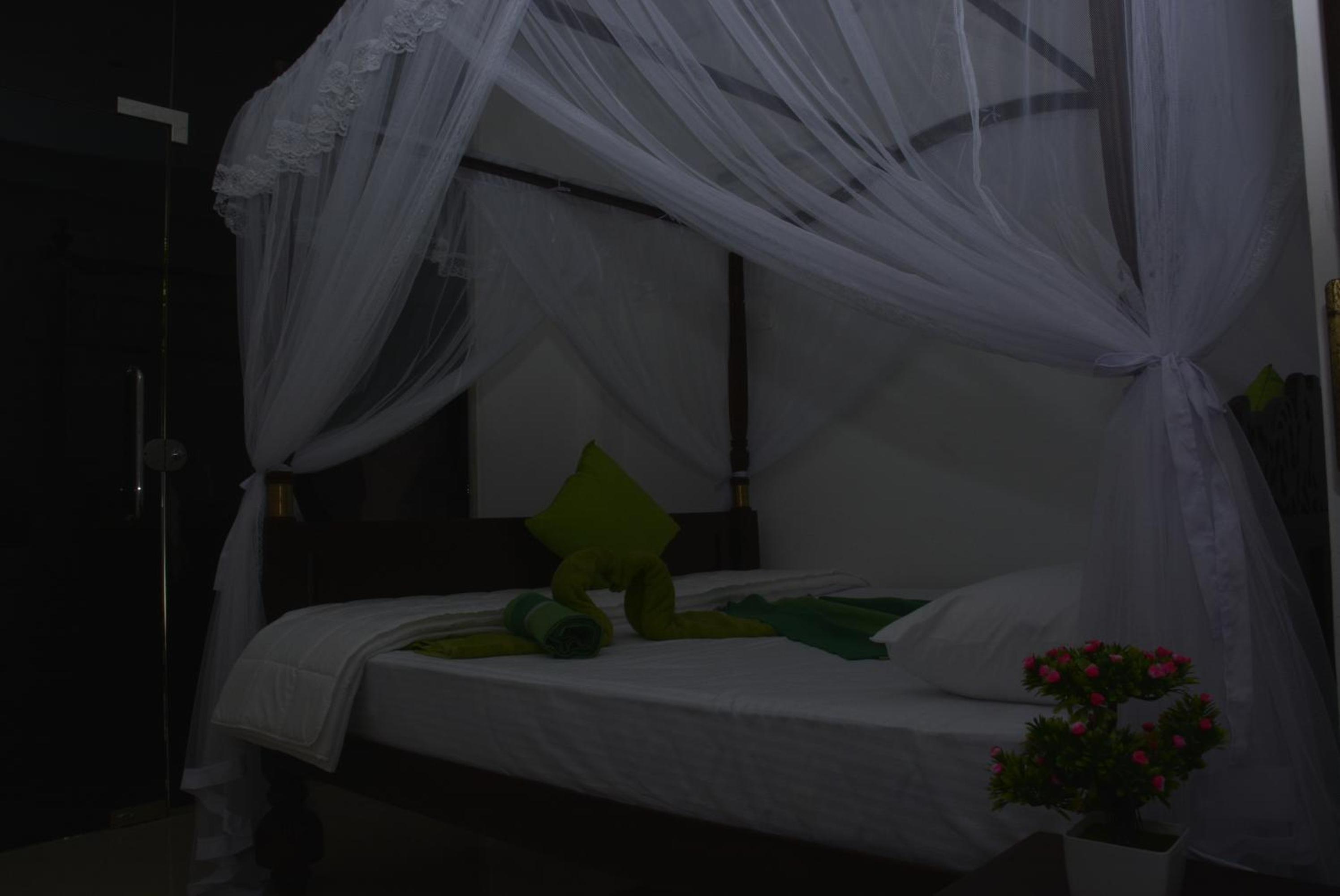 Star Nodes Villa view 5