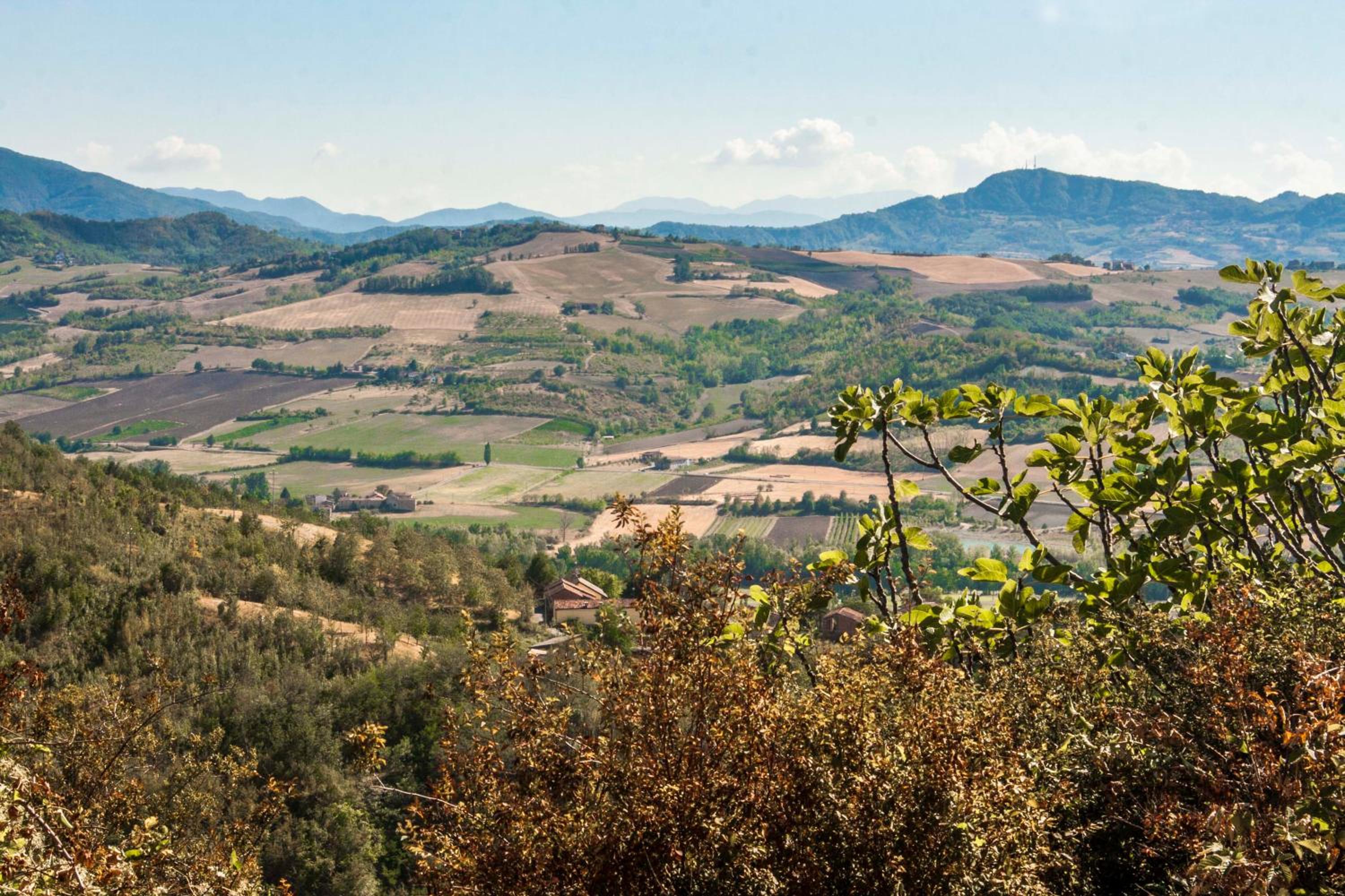Oasi di Mastarone - Il vino e le Rose