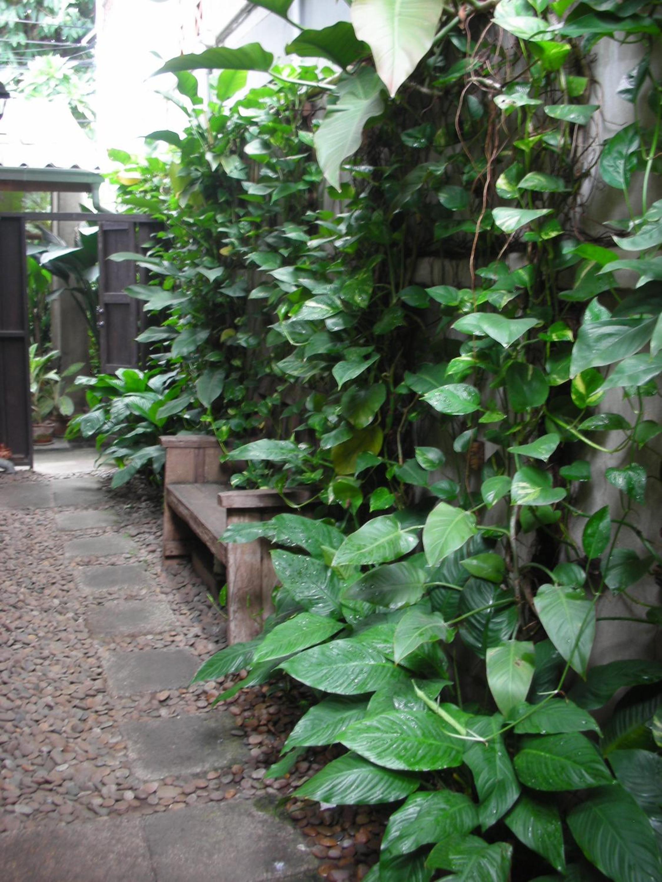 Chiang Maan Residence