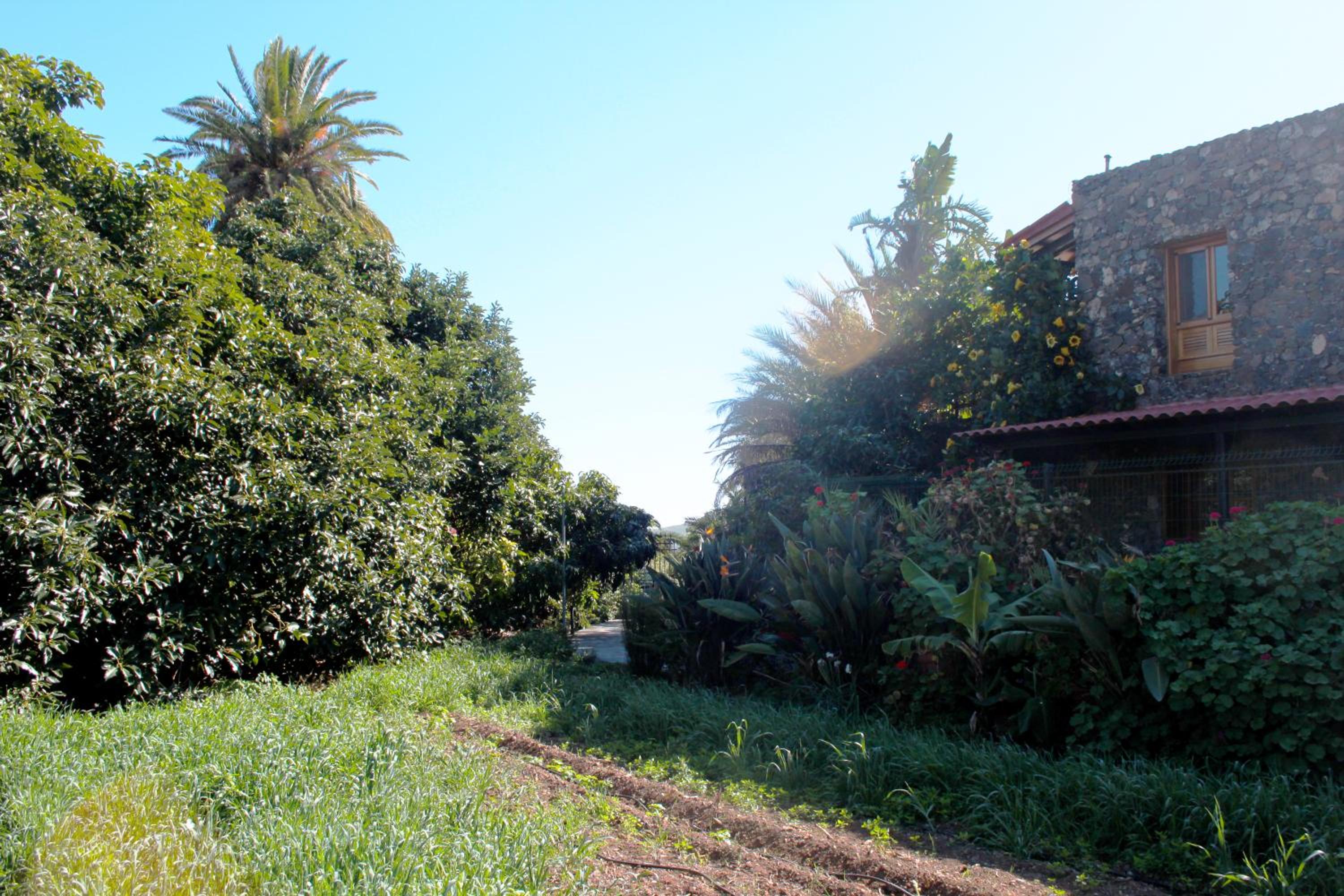 Photo 25
