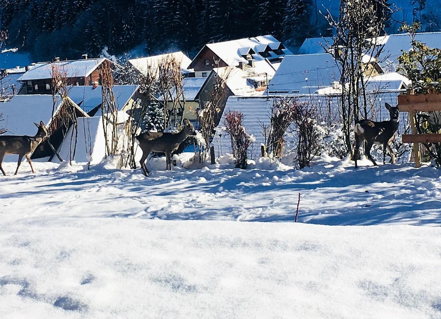 Ferienhaus Kramser