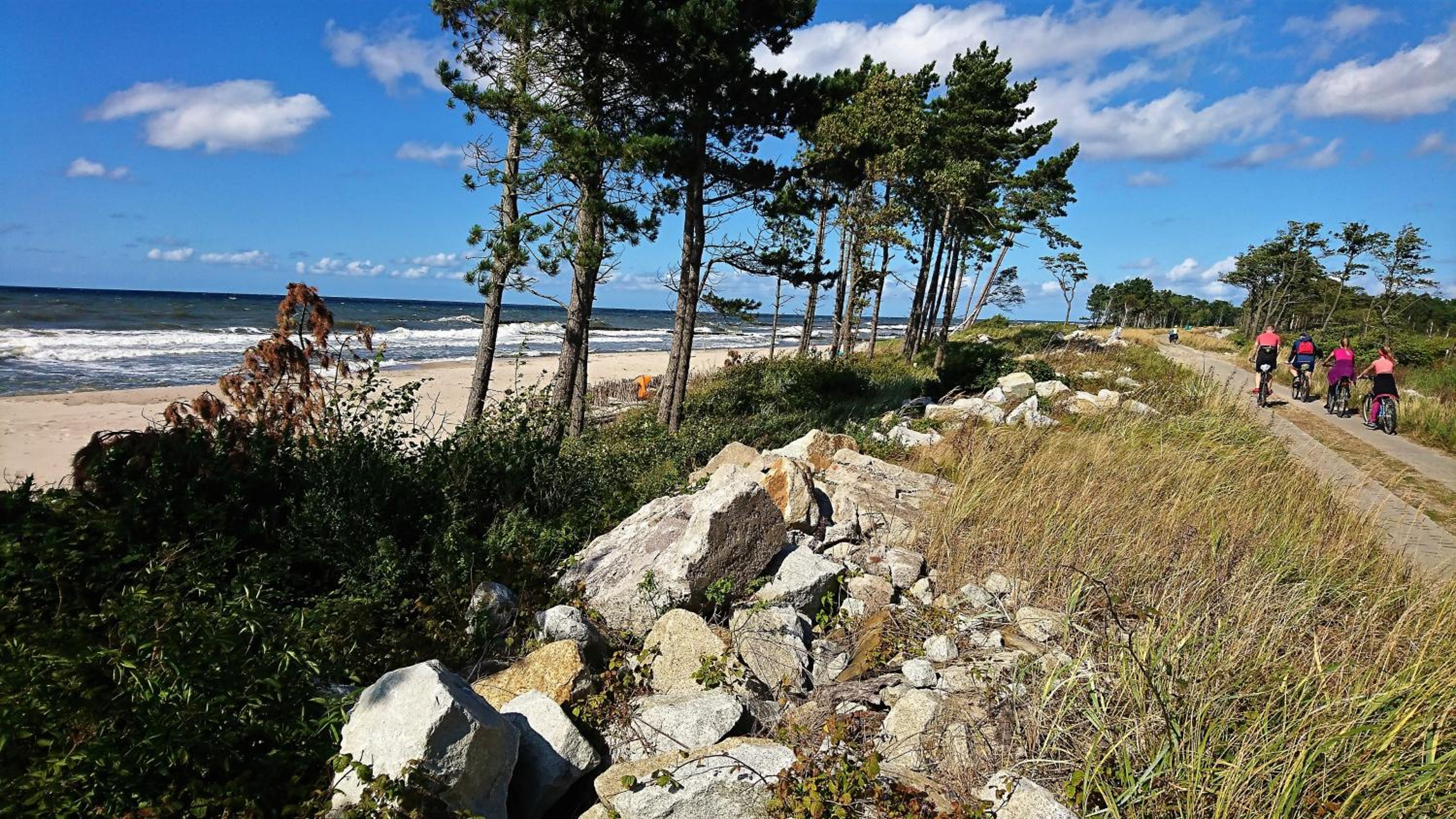 Photo 40