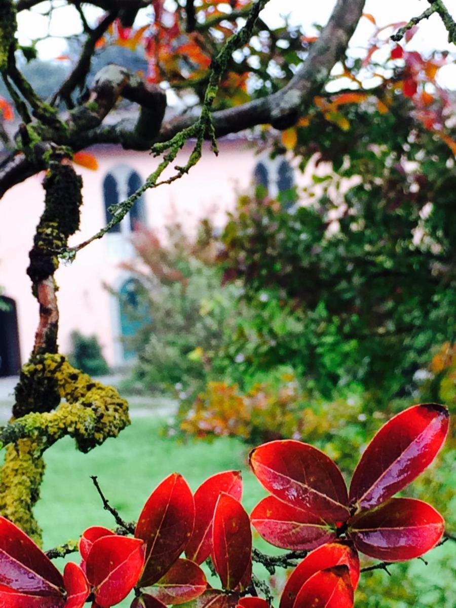 Il Casale Di Villa Rossi view 4