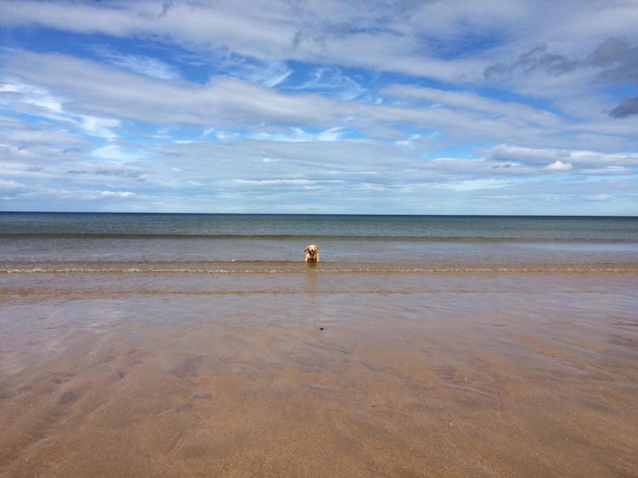 No12 Bed and Breakfast, St Andrews
