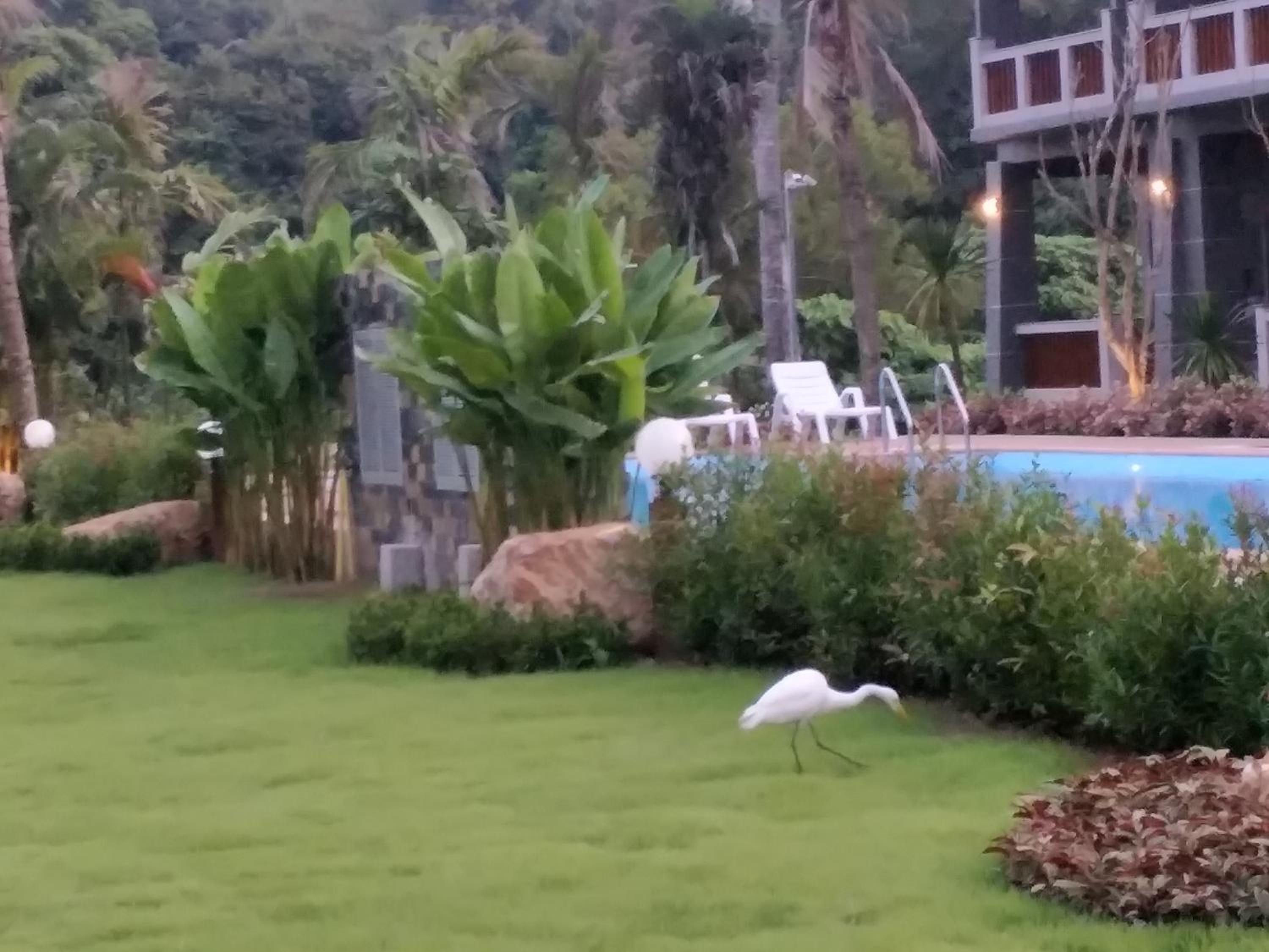 Lanta Infinity Resort - SHA Extra Plus