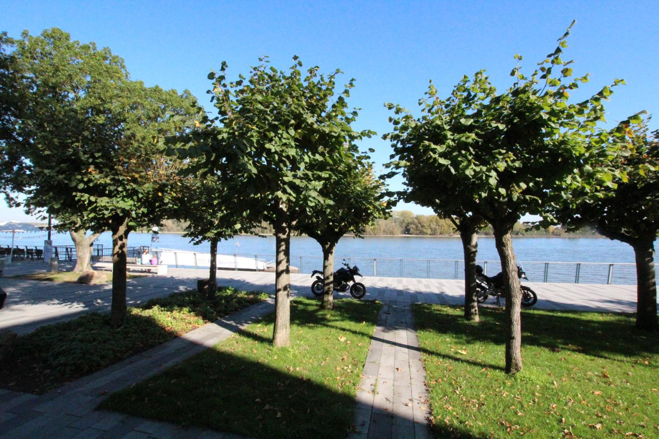 Photo 32
