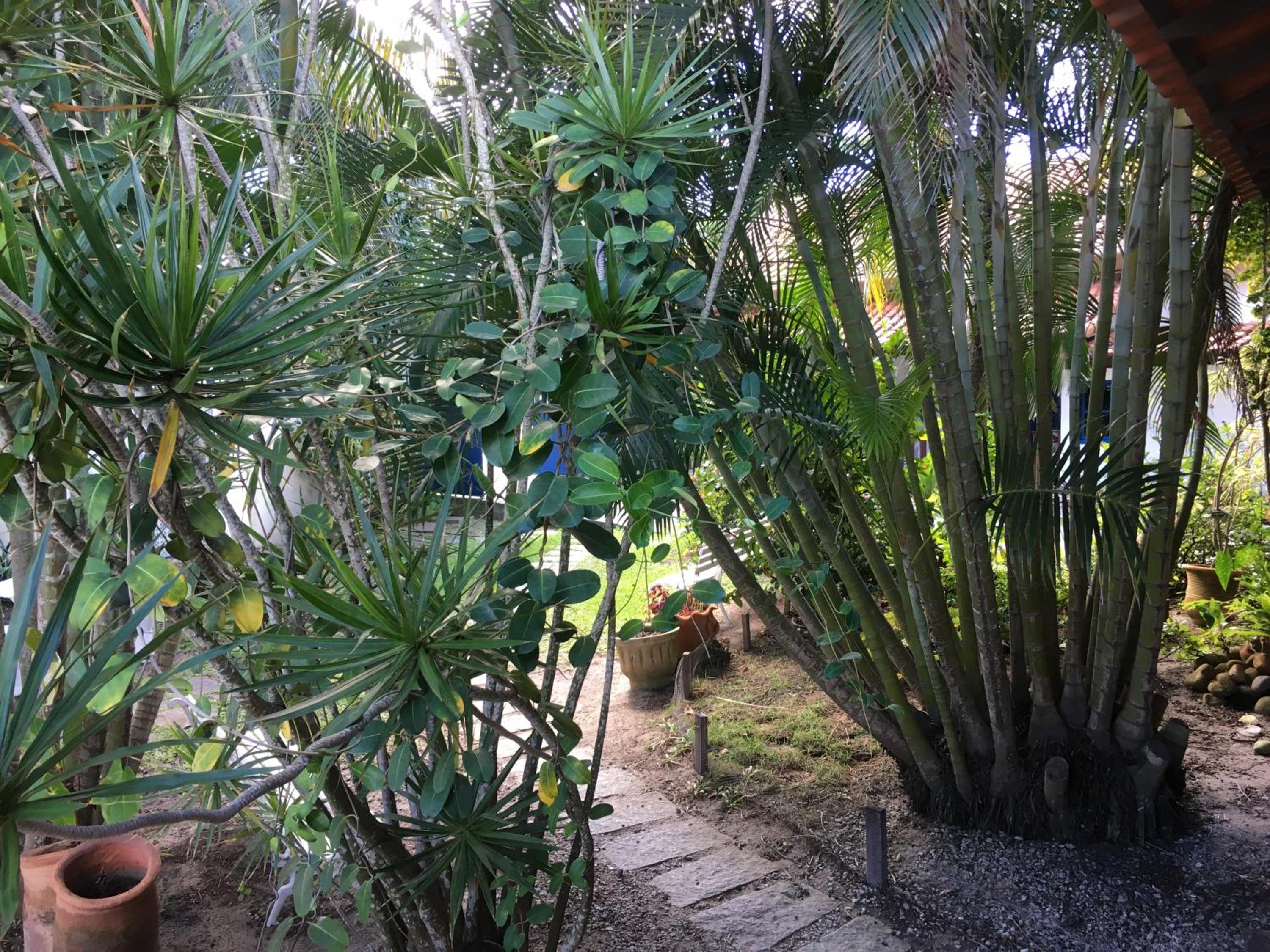 Photo 46