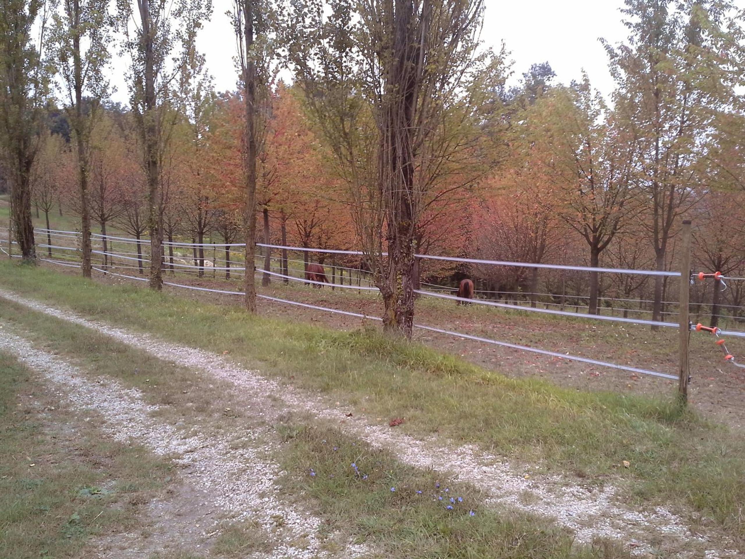 Cascina Barosca view 2
