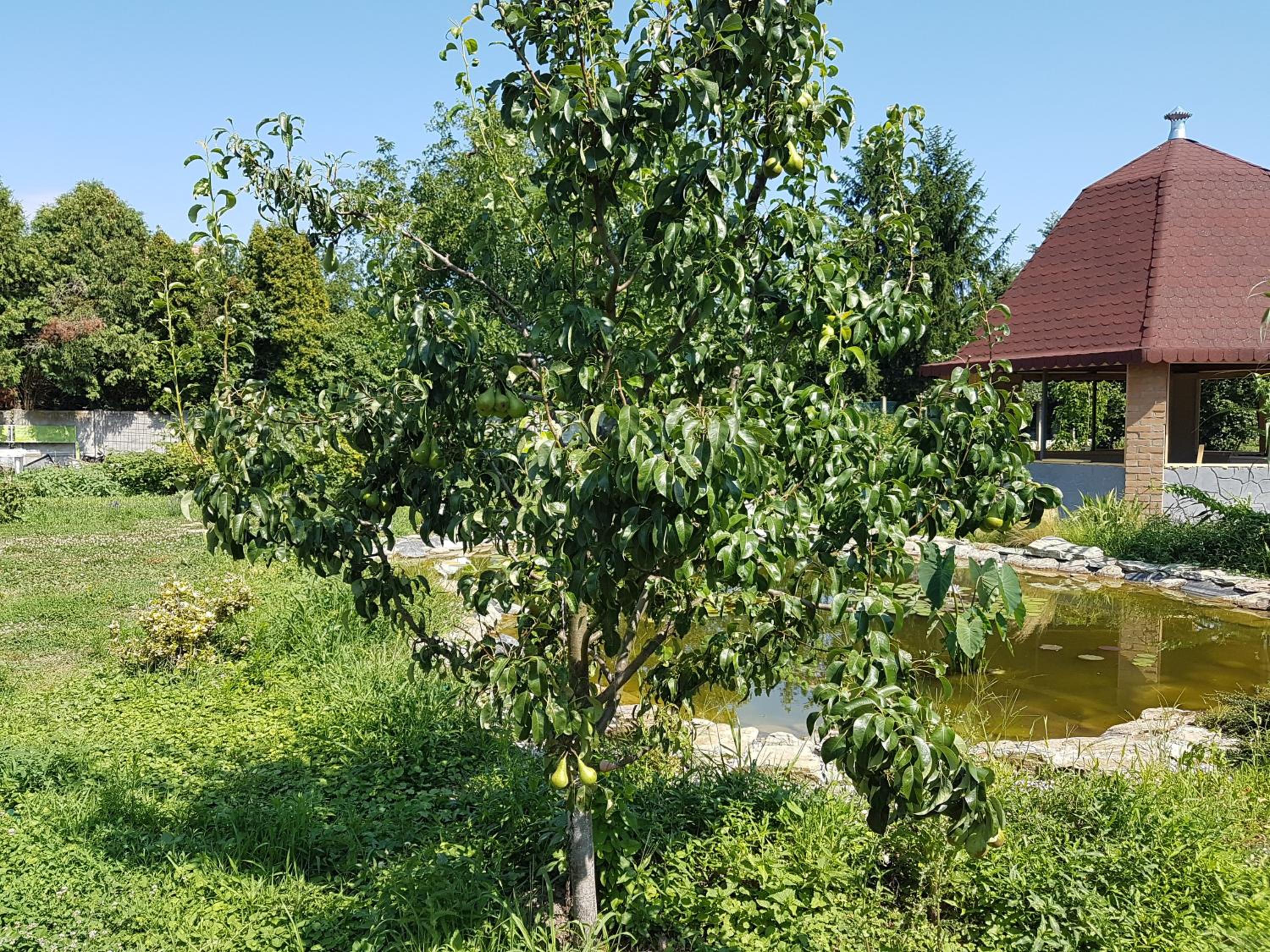 Photo 13