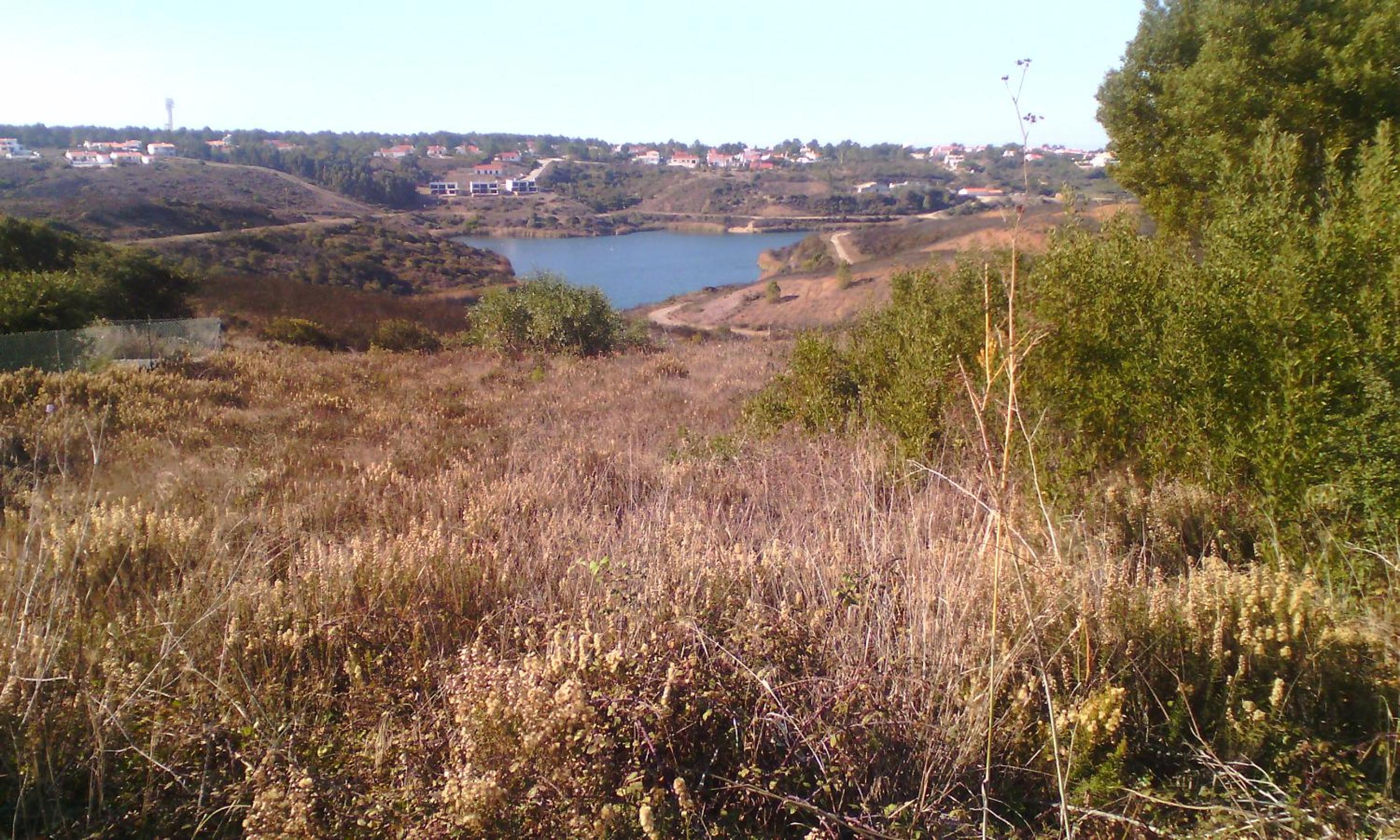 Photo 31