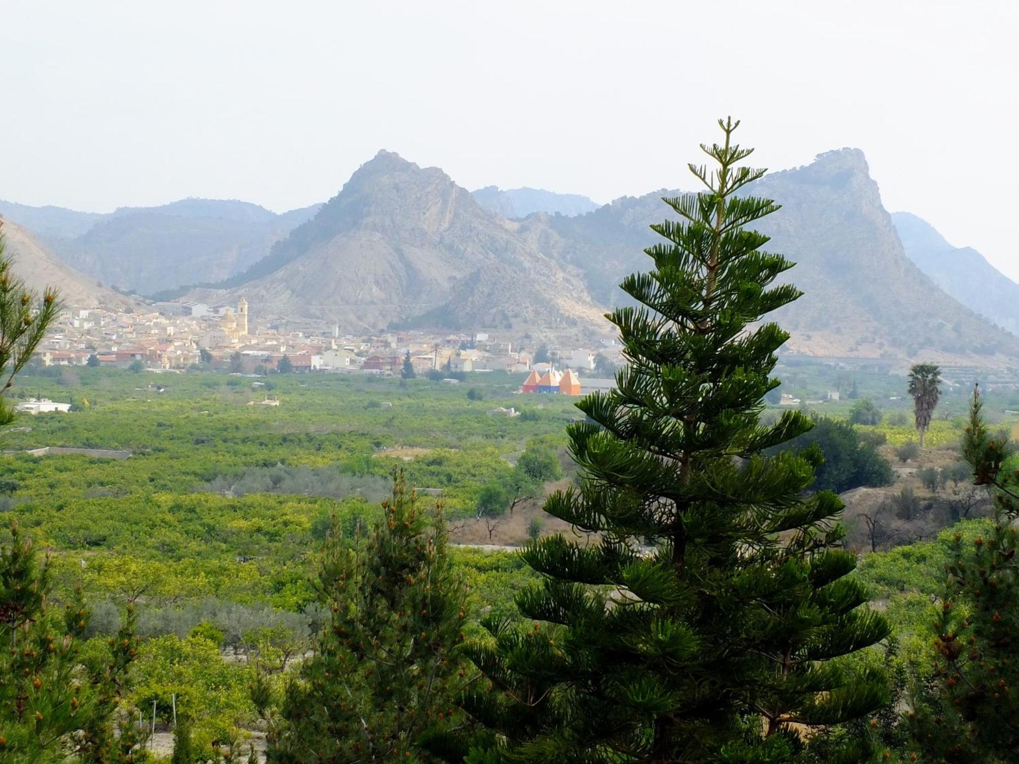 La Joya del Valle de Ricote