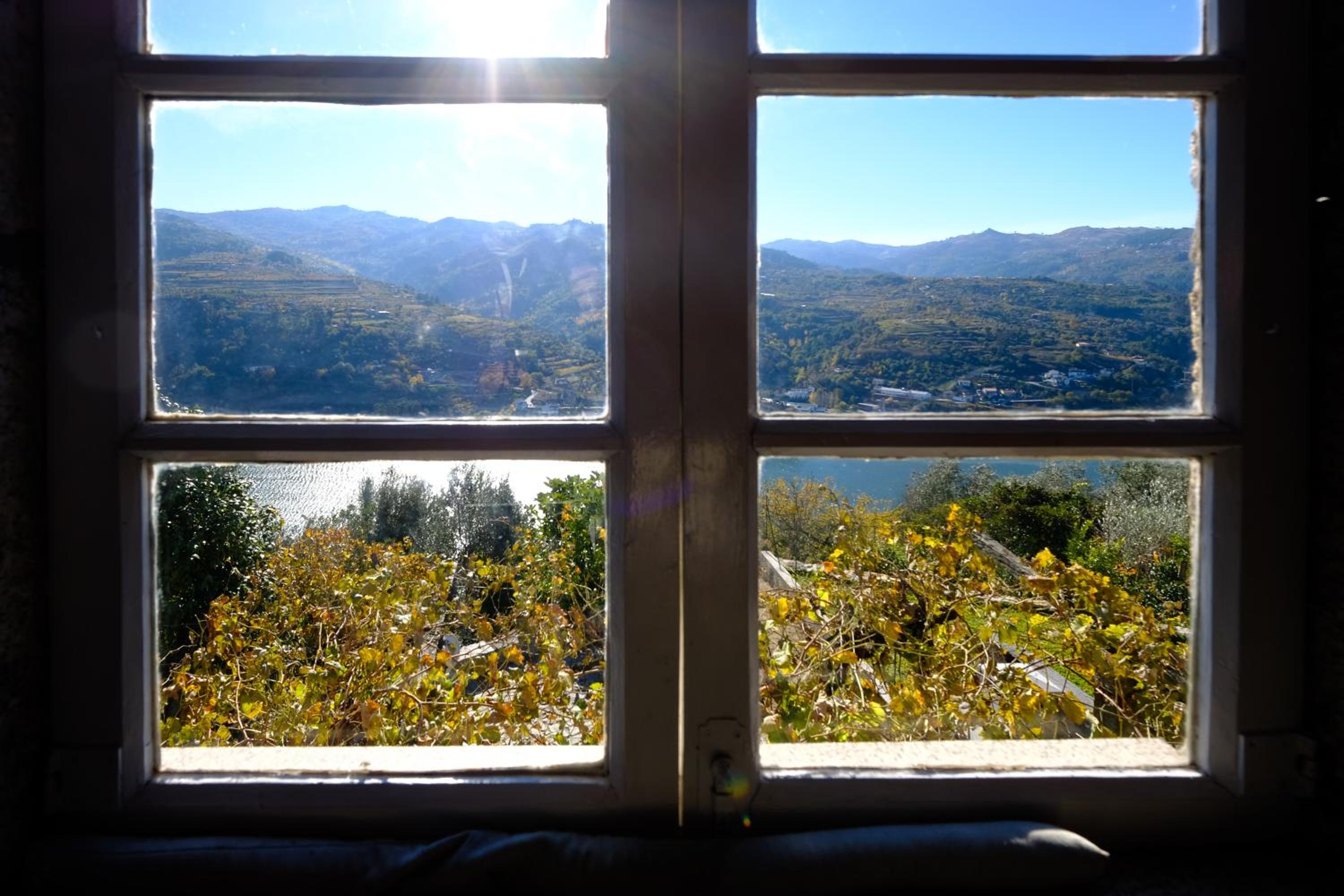 Casas do Casinhoto - Casa com Vista Douro - Property Image 6