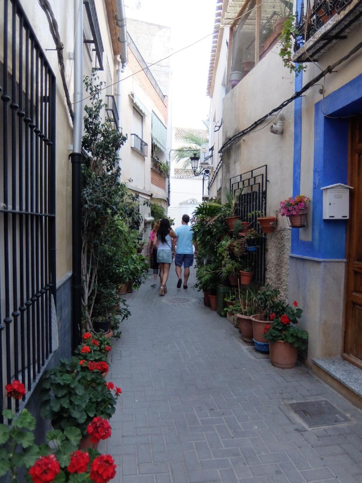La Joya del Valle de Ricote