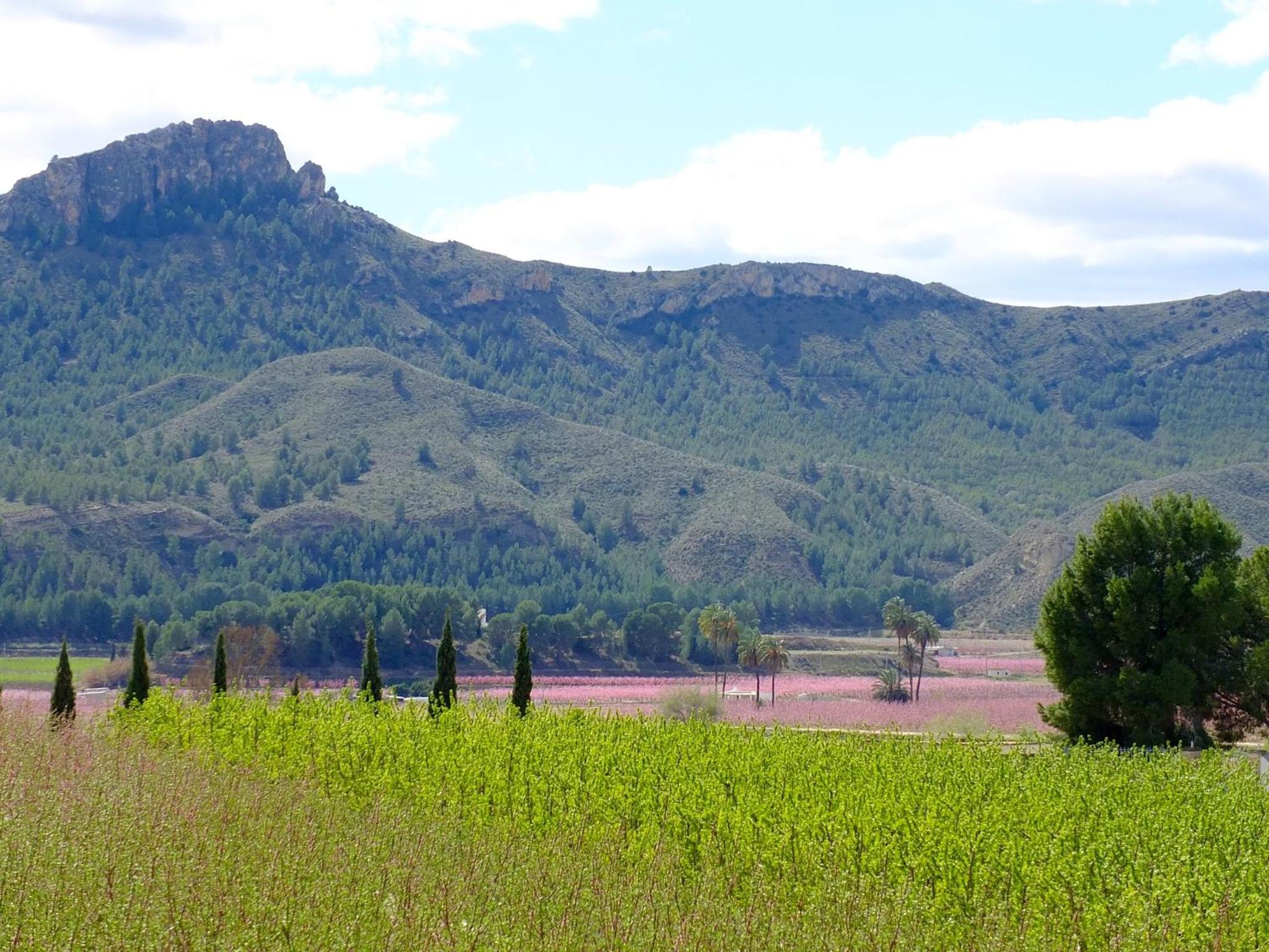 La Joya del Valle de Ricote