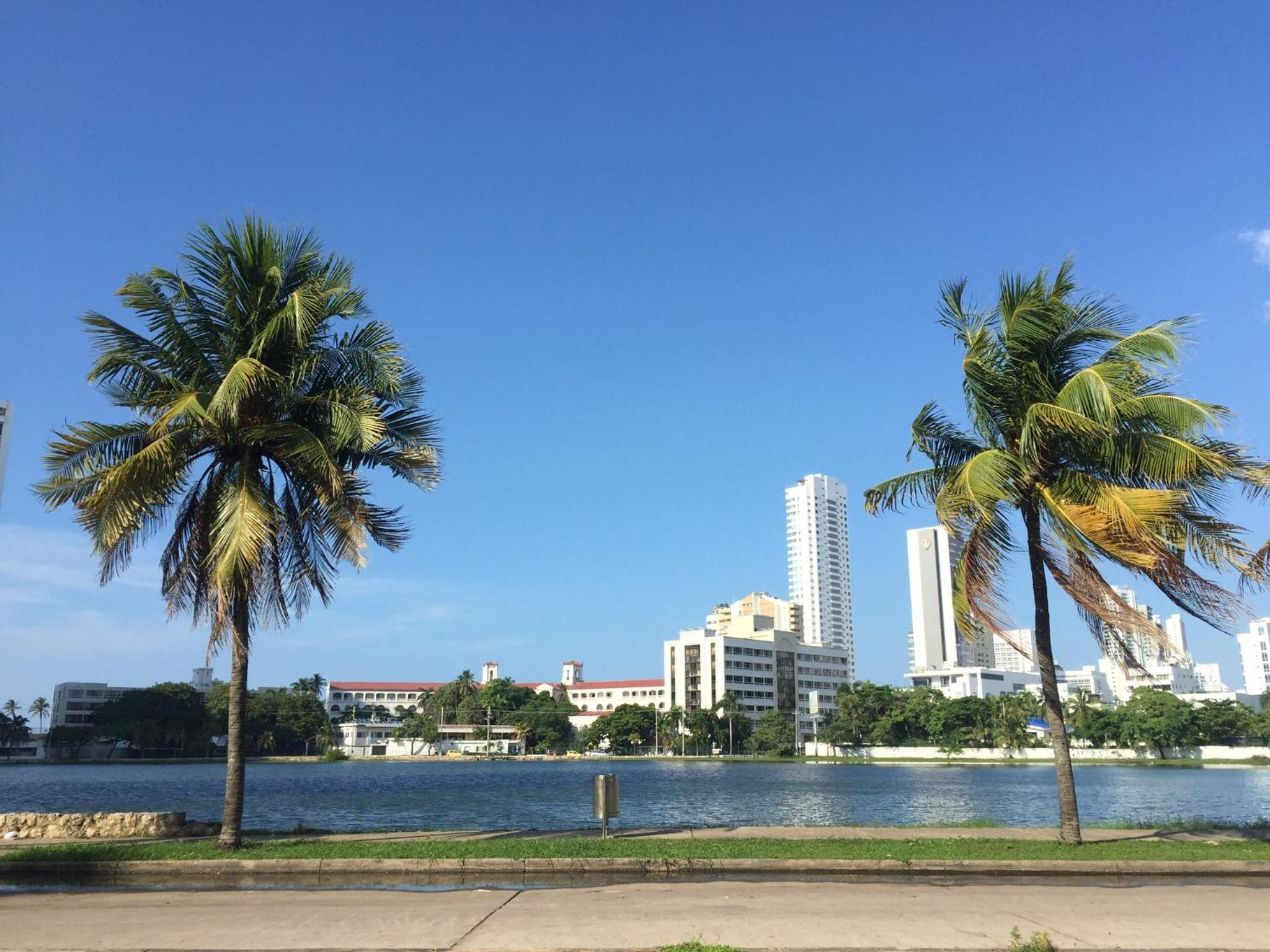 Apartamento con hermosa vista y cerca de playas view 4