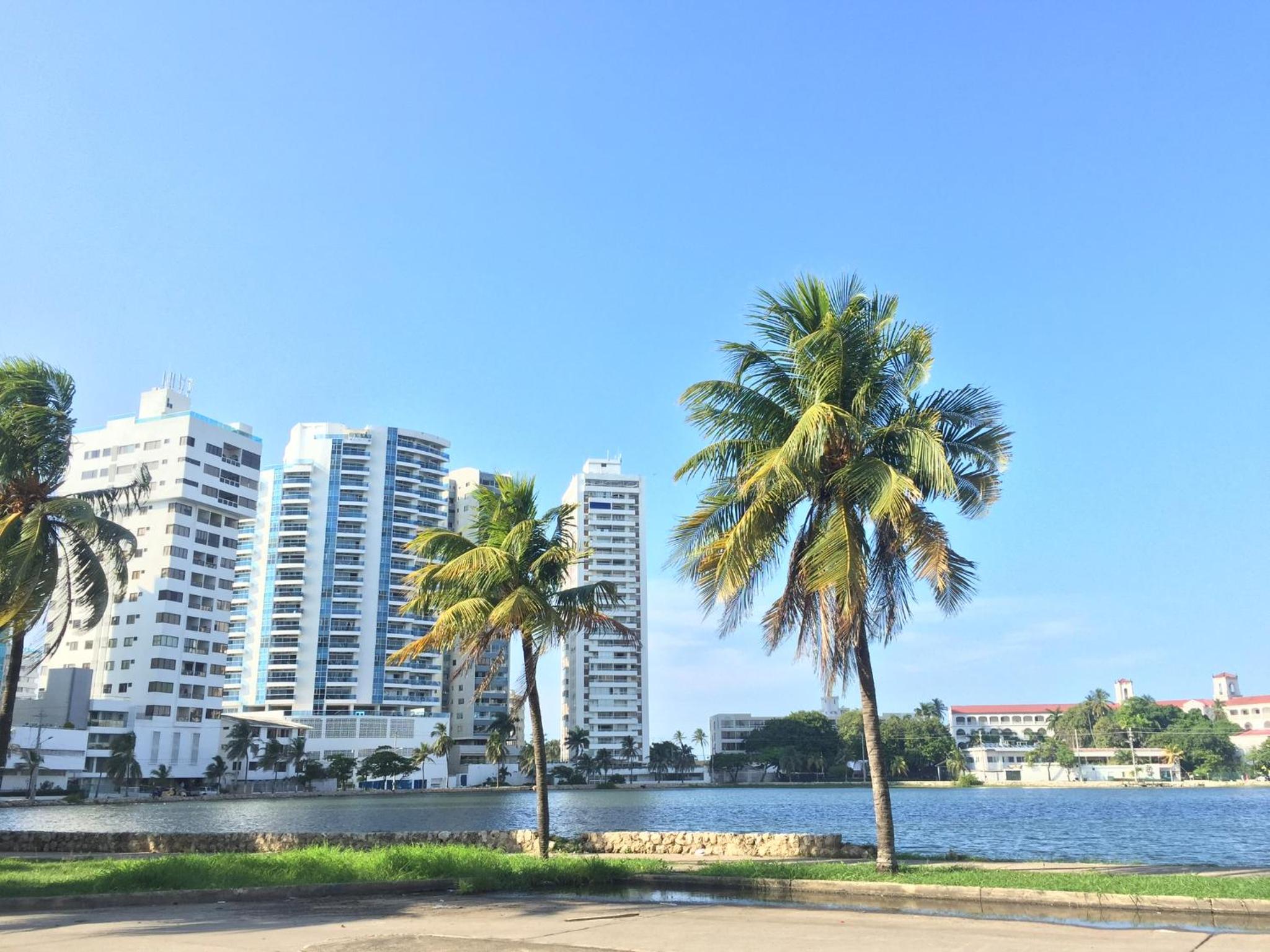 Apartamento con hermosa vista y cerca de playas view 3
