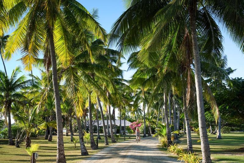 Musket Cove Island Resort & Marina 32