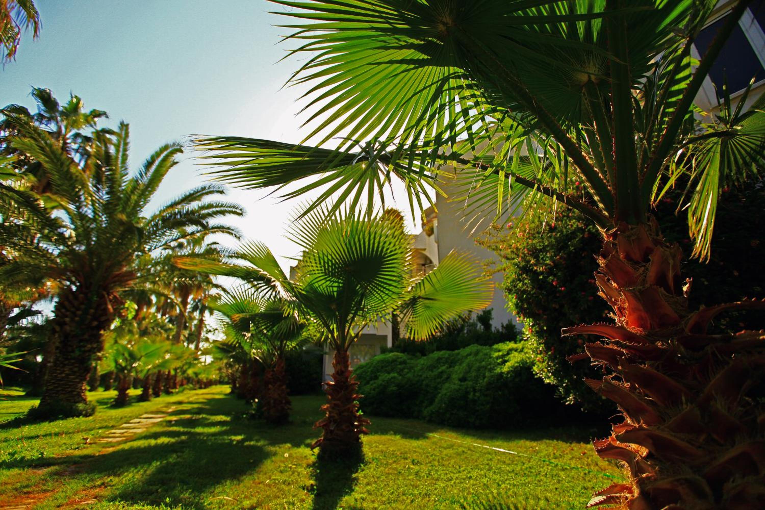 Sultasa Hotel - Image 12