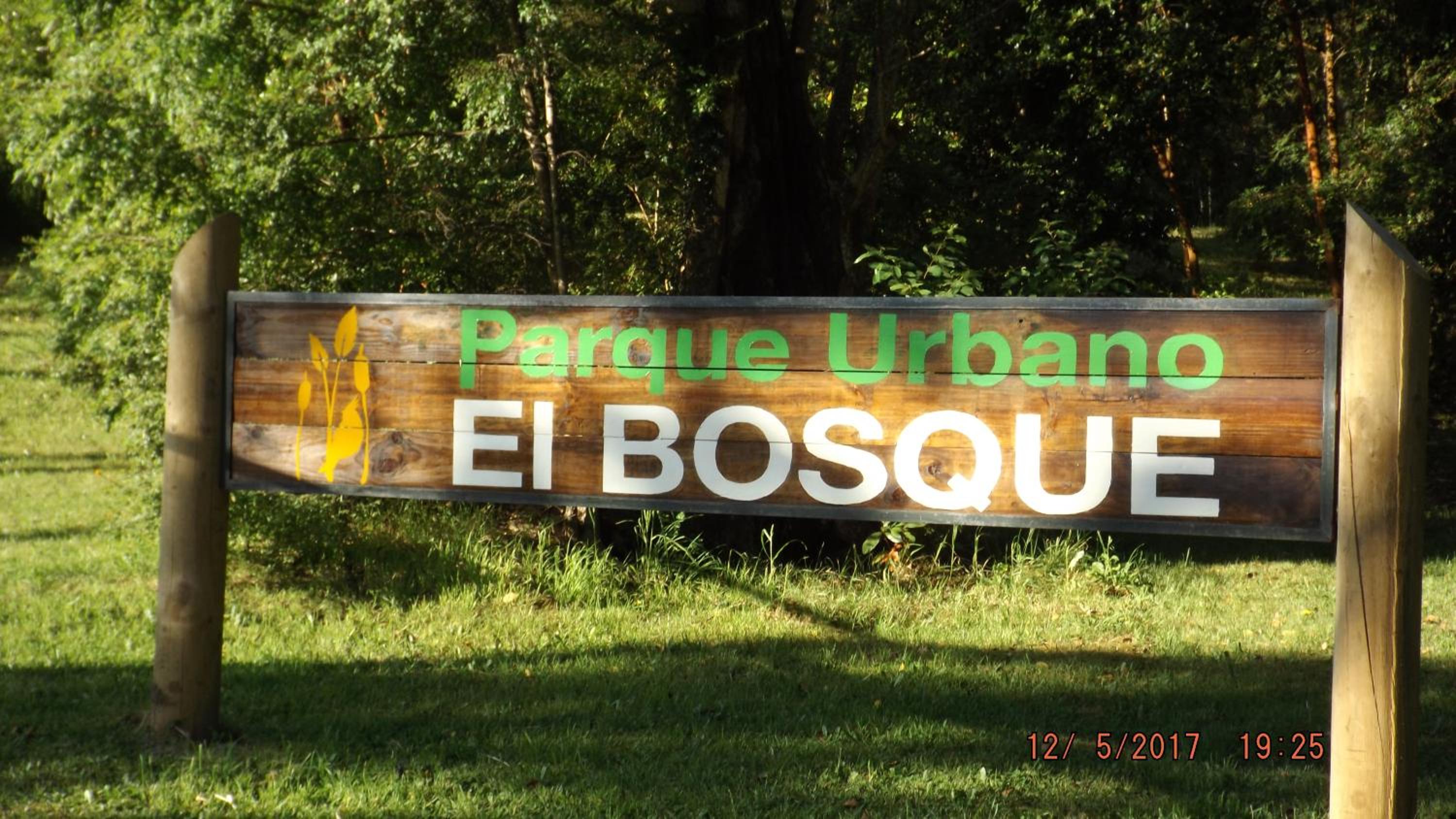 Bosque Valdiviano Apartment