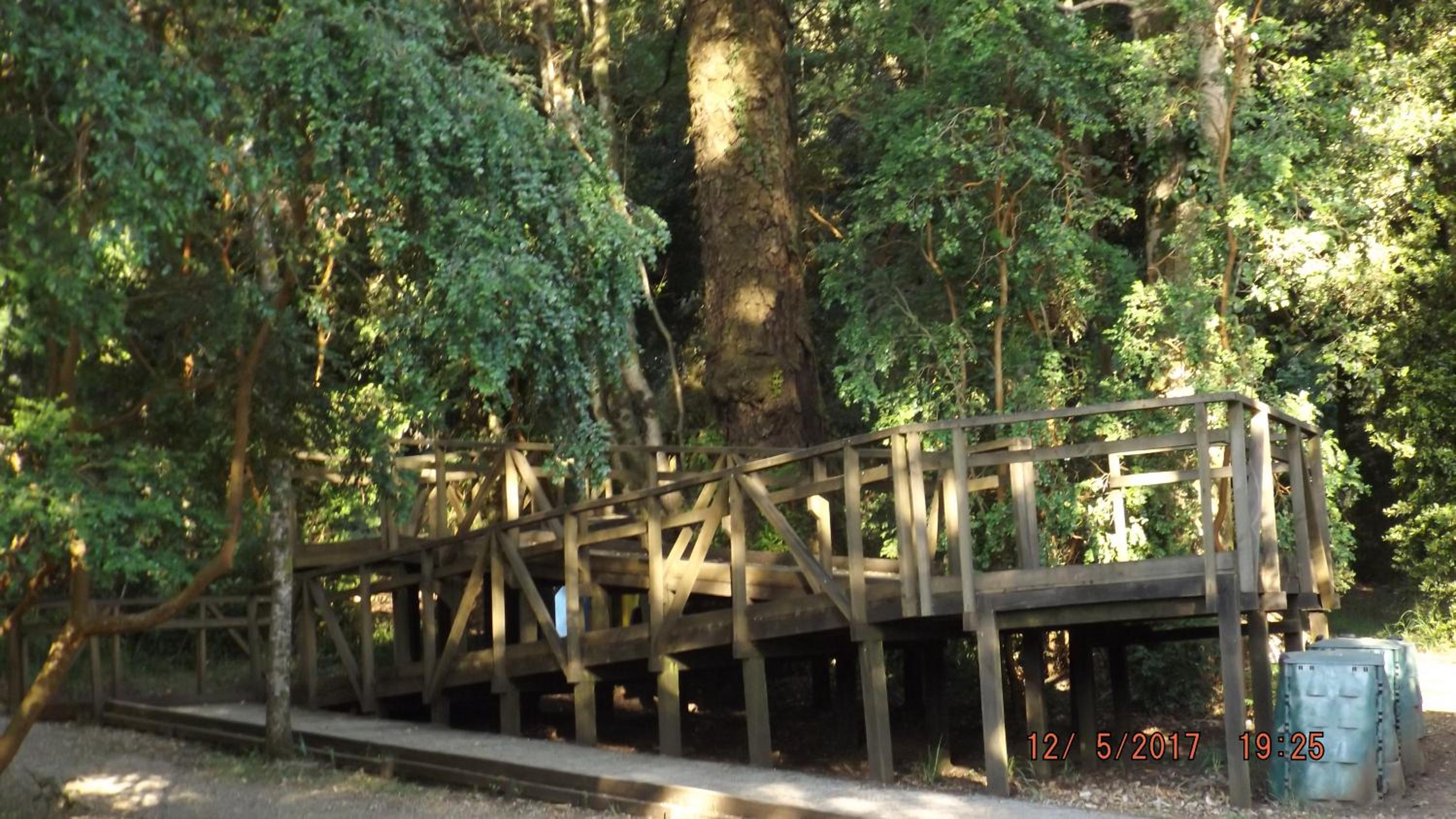Bosque Valdiviano Apartment