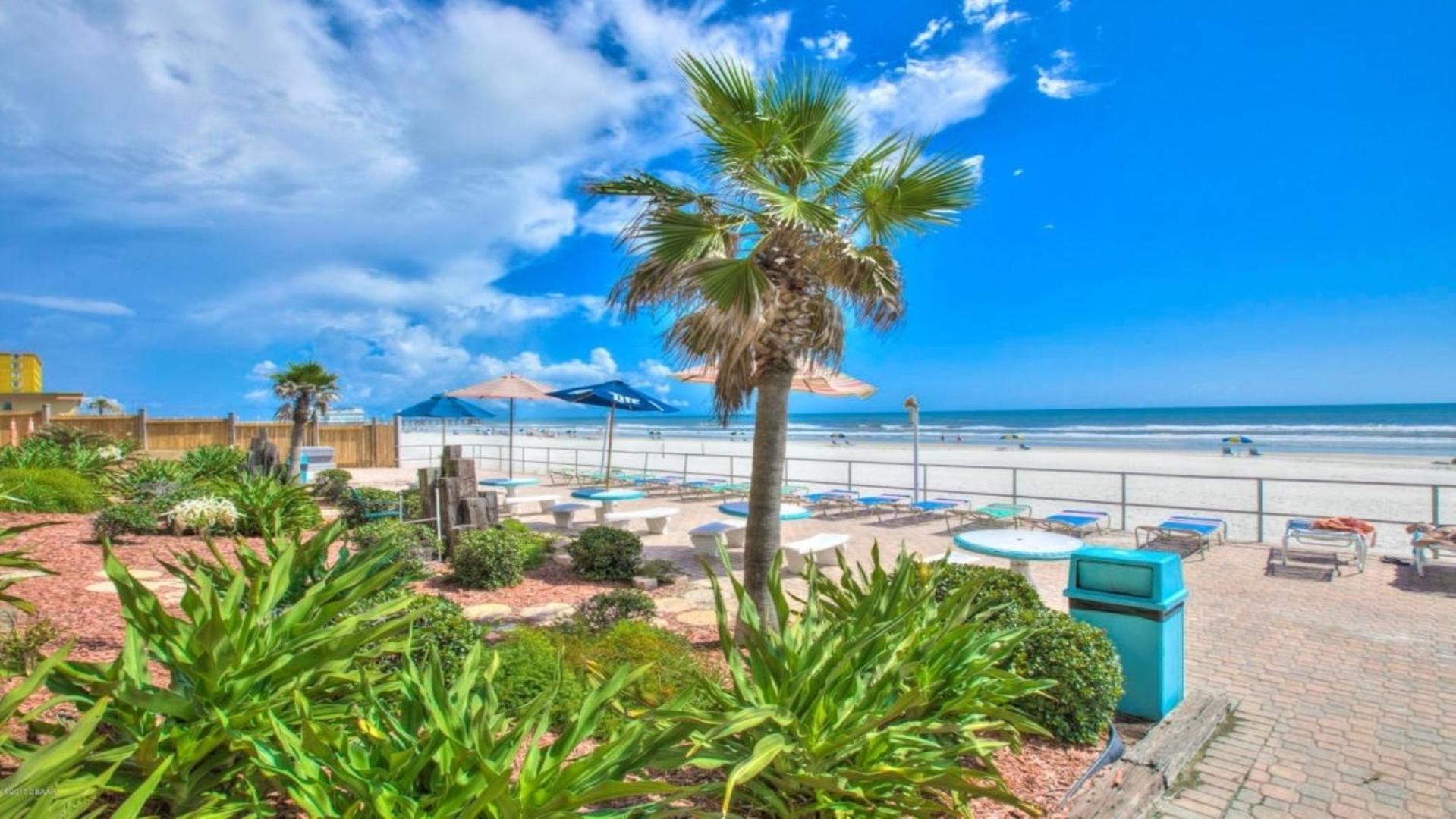Ocean View - Direct Ocean Front-Pool Is Open
