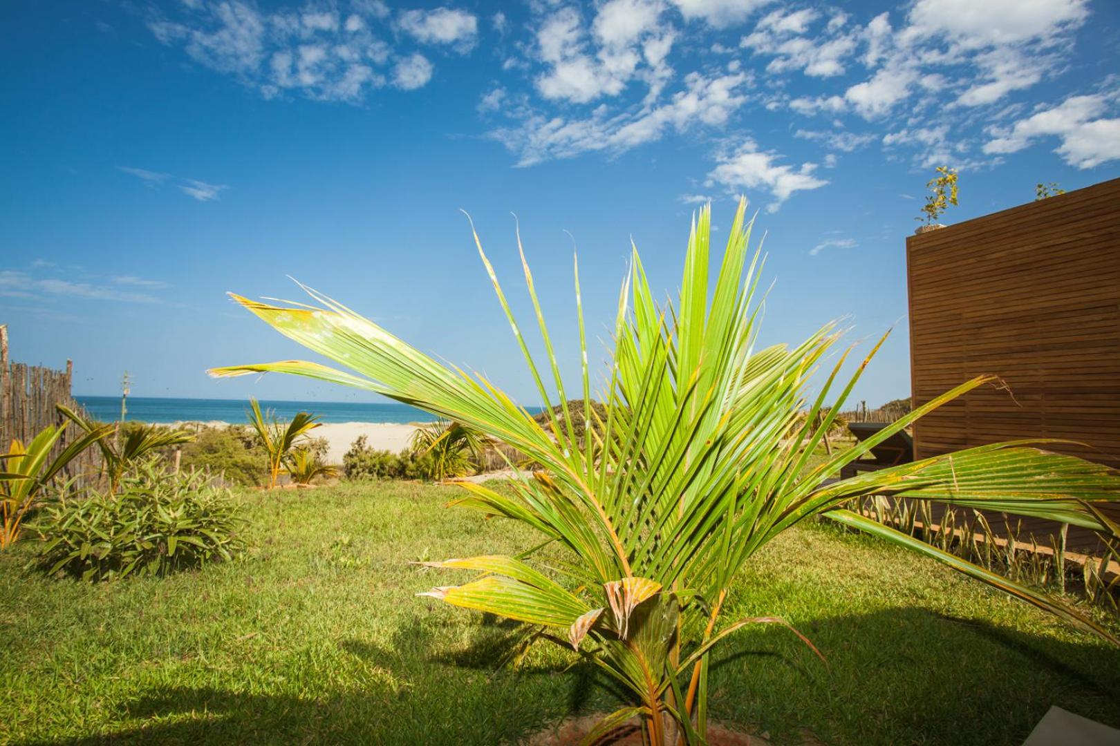 Casa Safran Vichayito