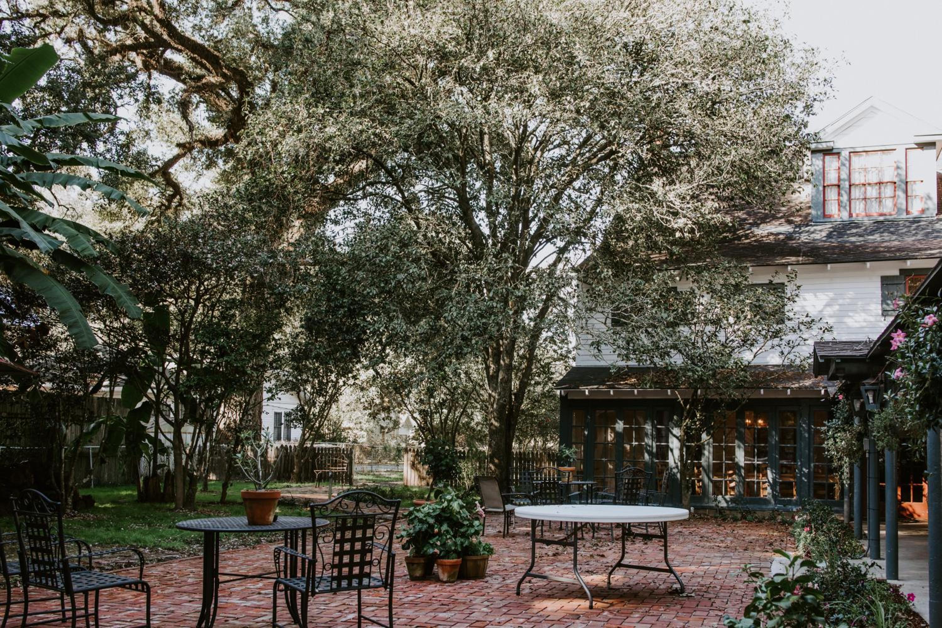 Maison Mouton Bed & Breakfast, photo 84
