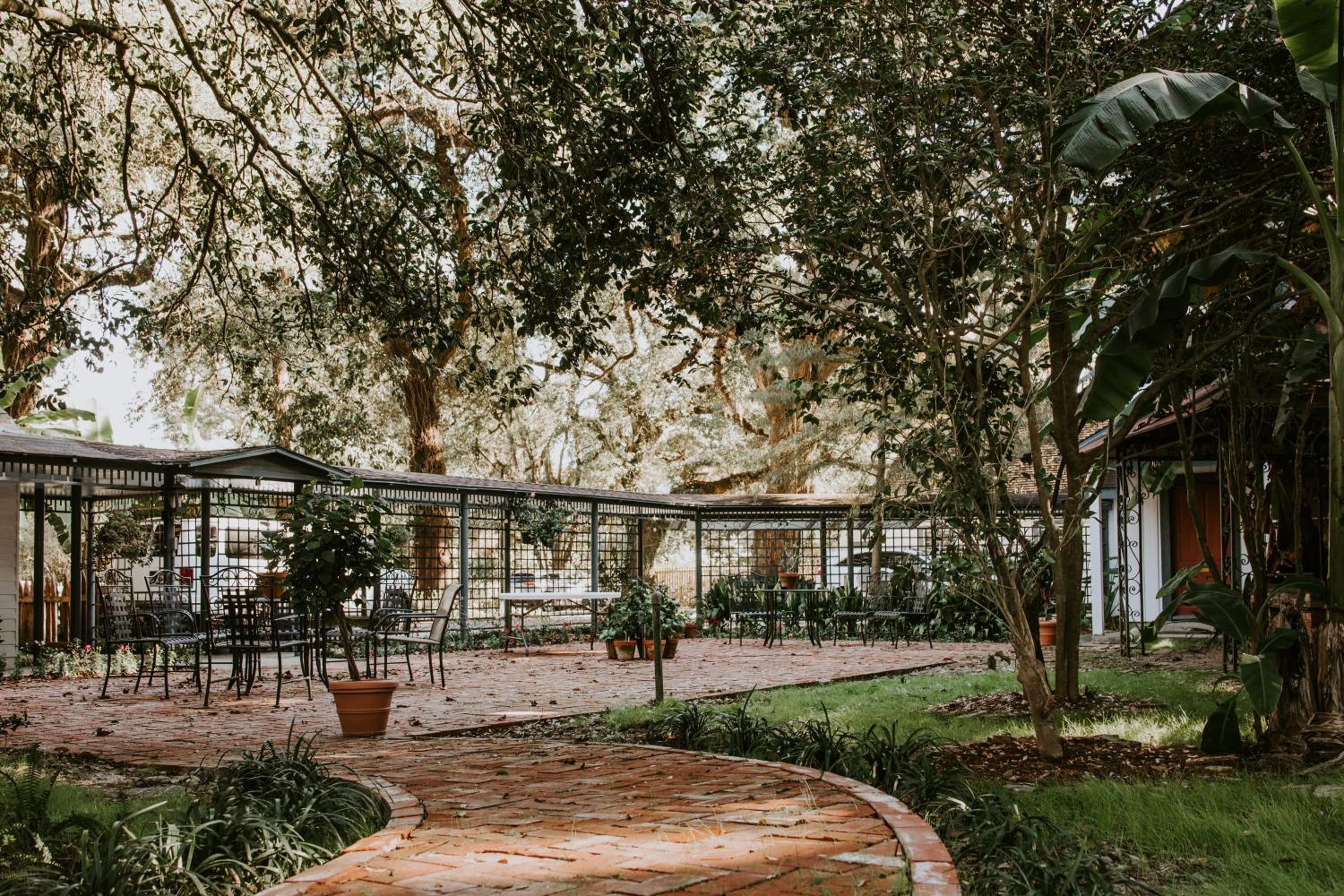 Maison Mouton Bed & Breakfast, photo 74