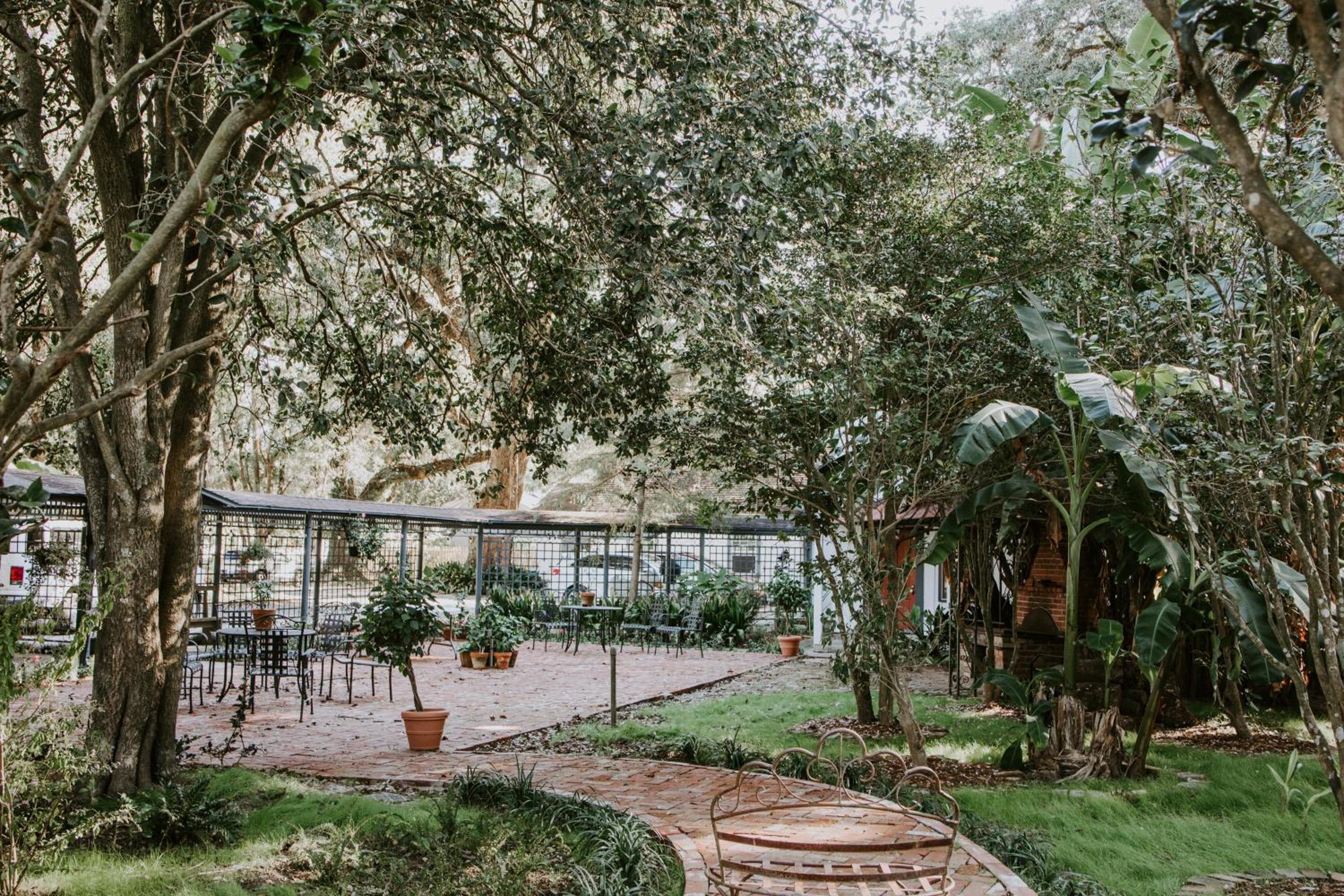Maison Mouton Bed & Breakfast, photo 51
