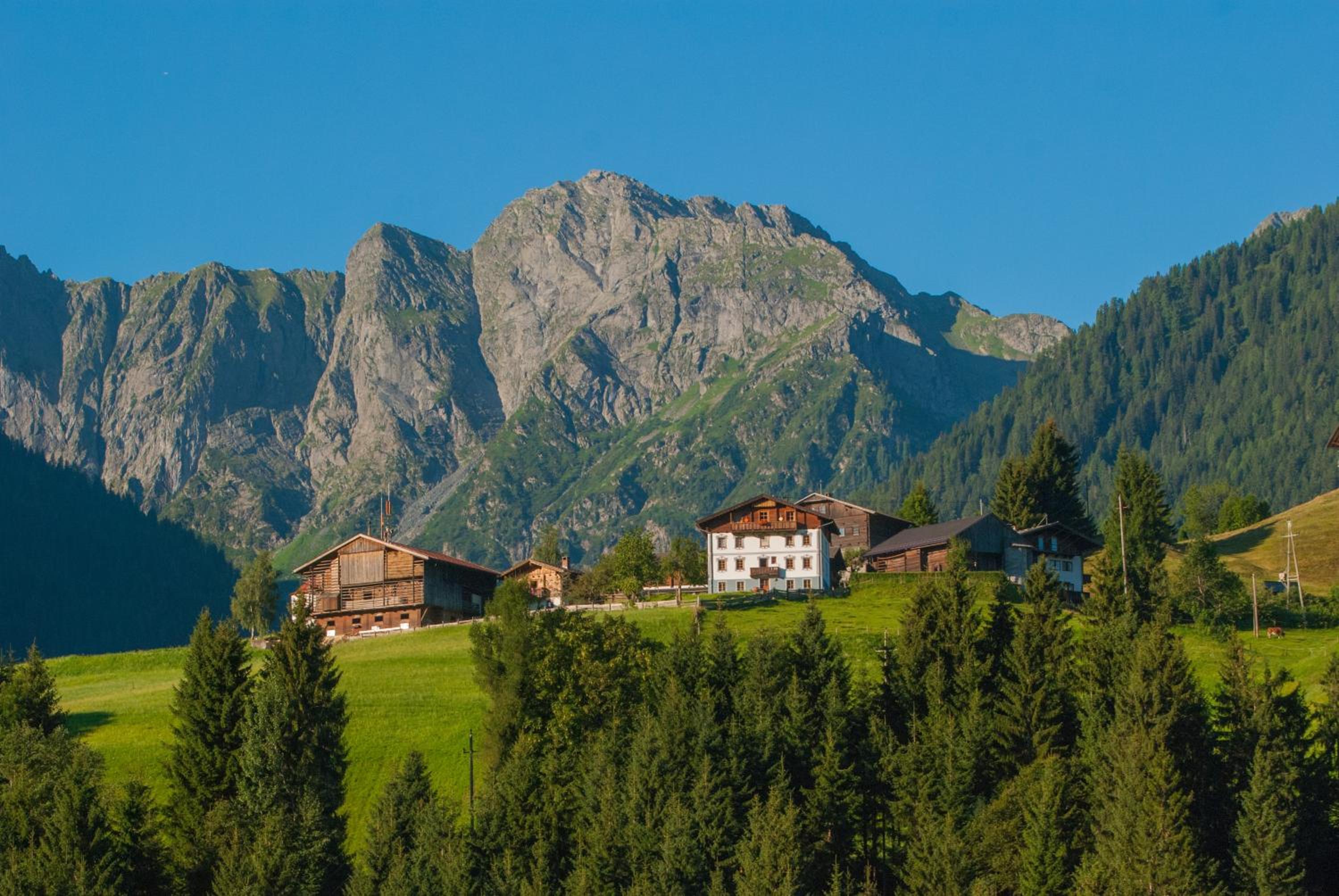 BIO-Bergbauernhof Ederhias