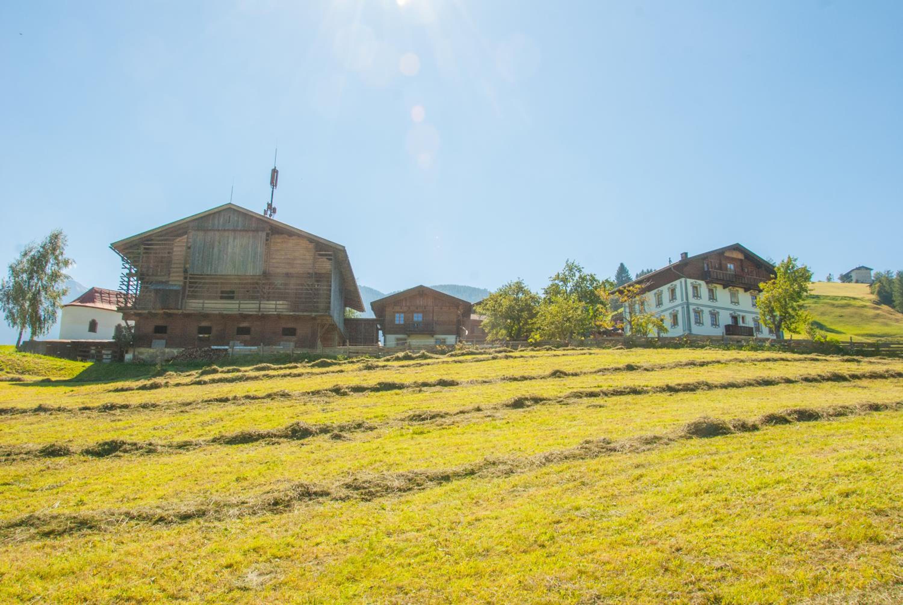 BIO-Bergbauernhof Ederhias