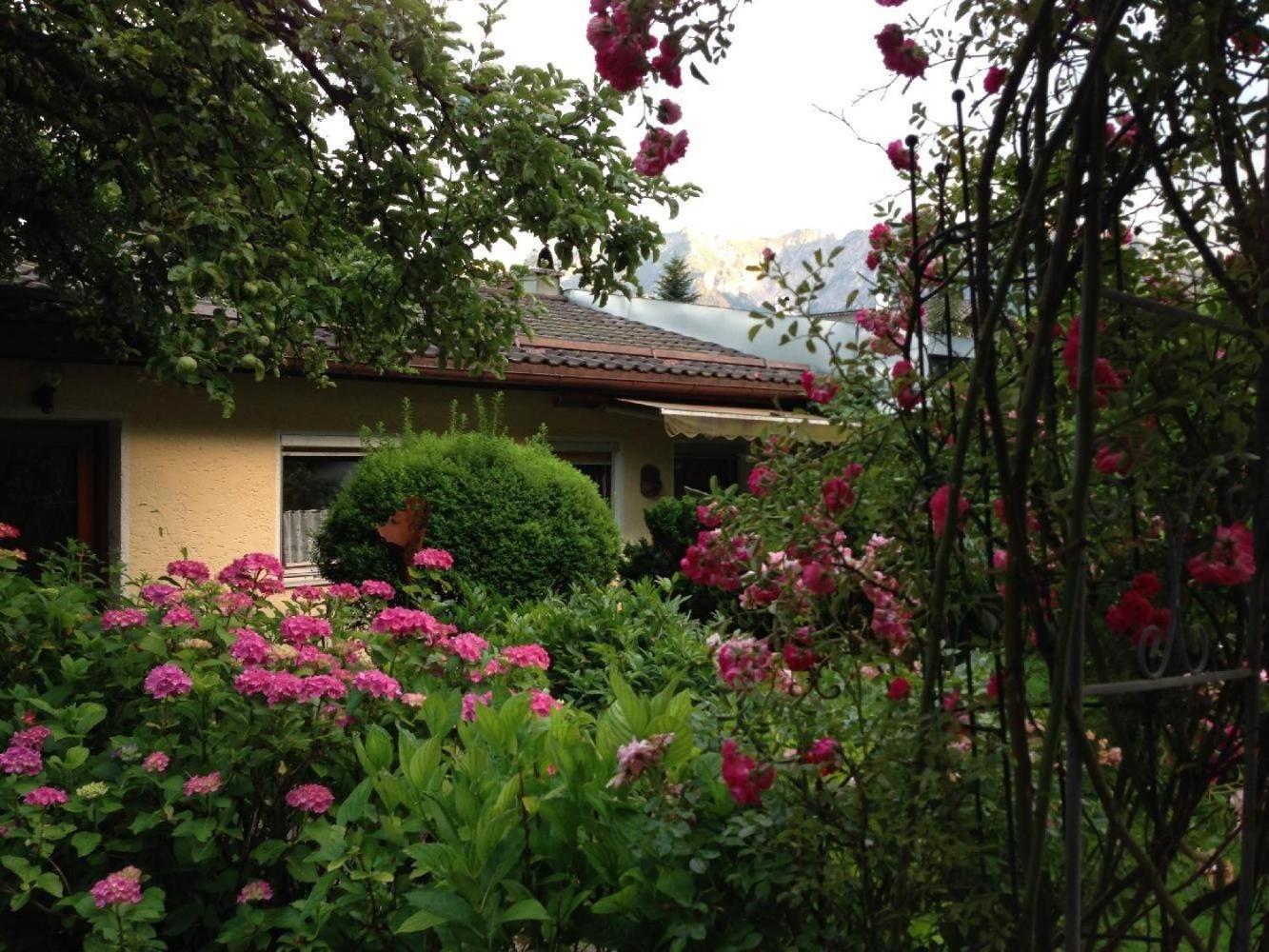 Ferienwohnung-Haus-Auer view 4
